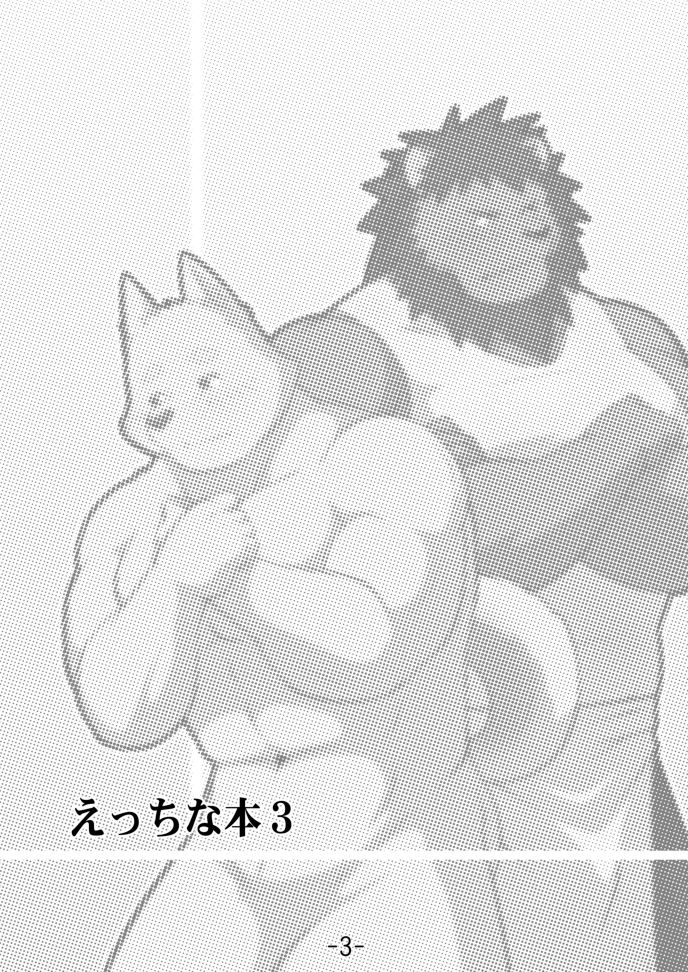 Ecchi Na Hon 3 page 3 full