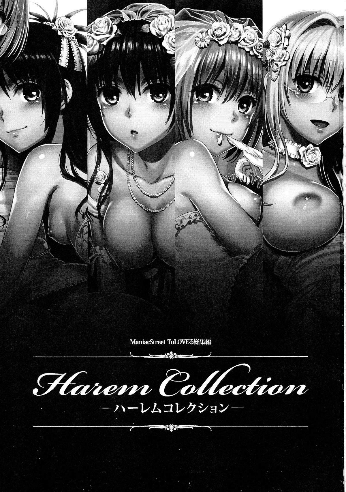 Harem Collection page 3 full