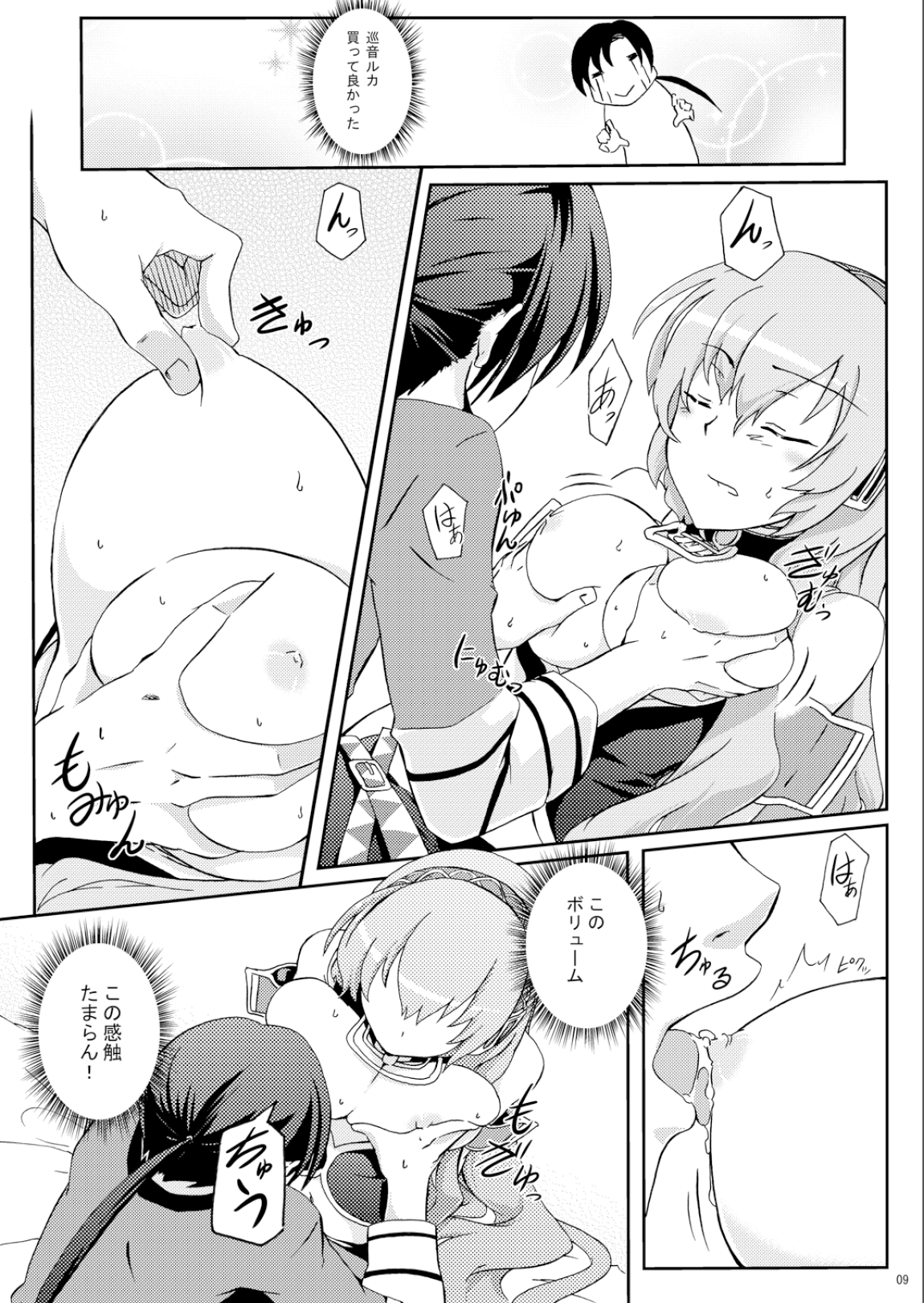 Megurine Luka no Toriatsukai Setsumeisho page 8 full