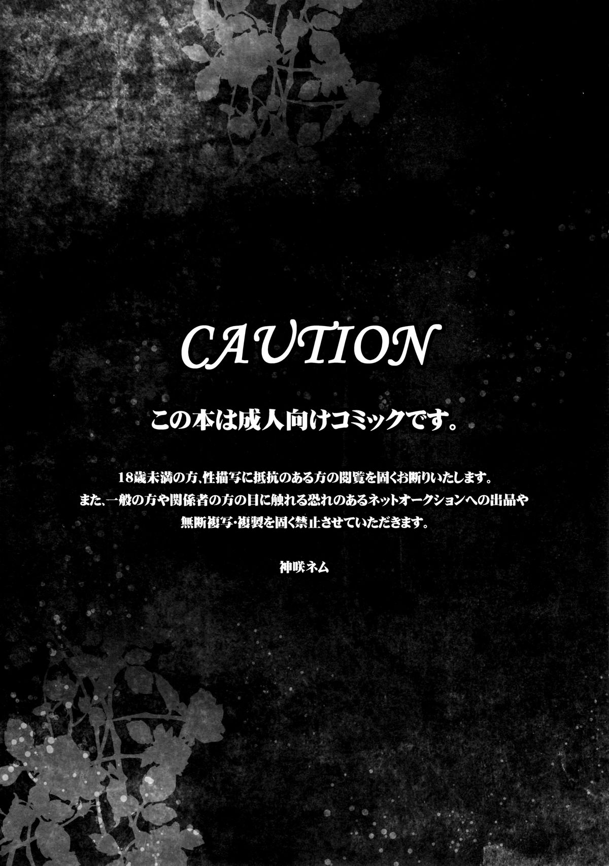 borderland page 4 full