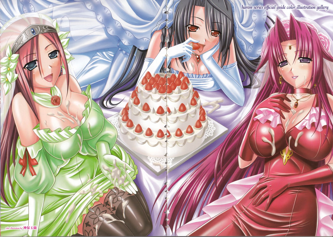 Takeuti Ken's Harem Series Official Guide Book page 7 full