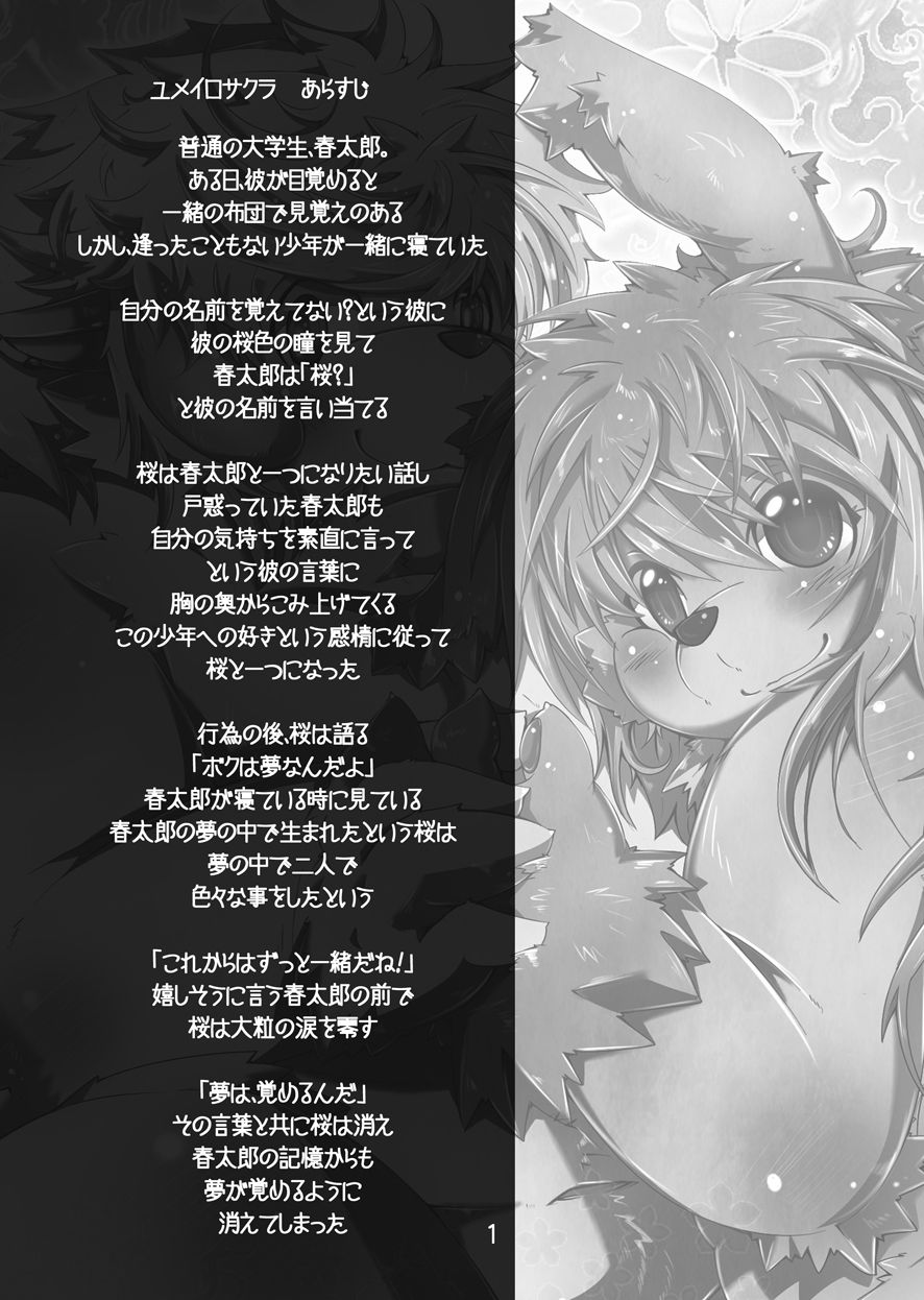 Nijīro Sakura page 2 full