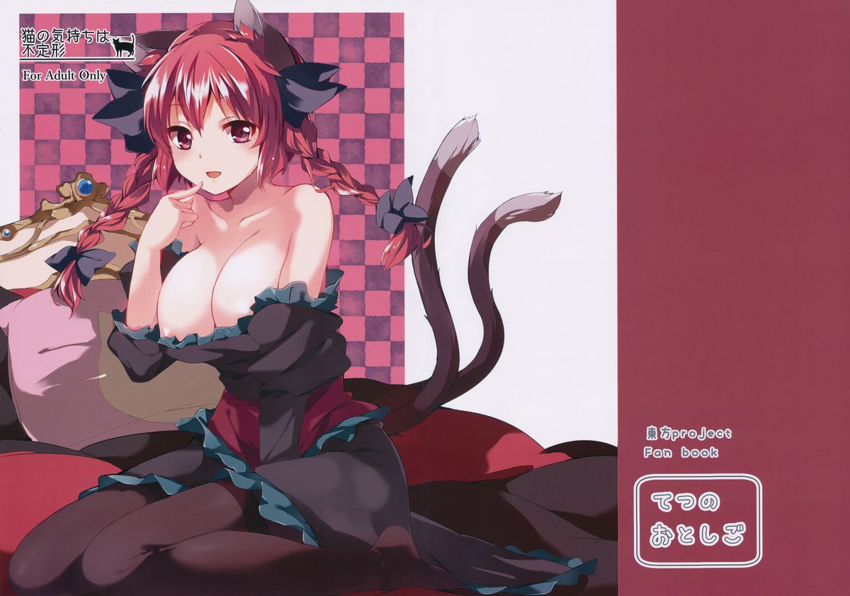 Neko no Kimochi wa Futeikei page 1 full