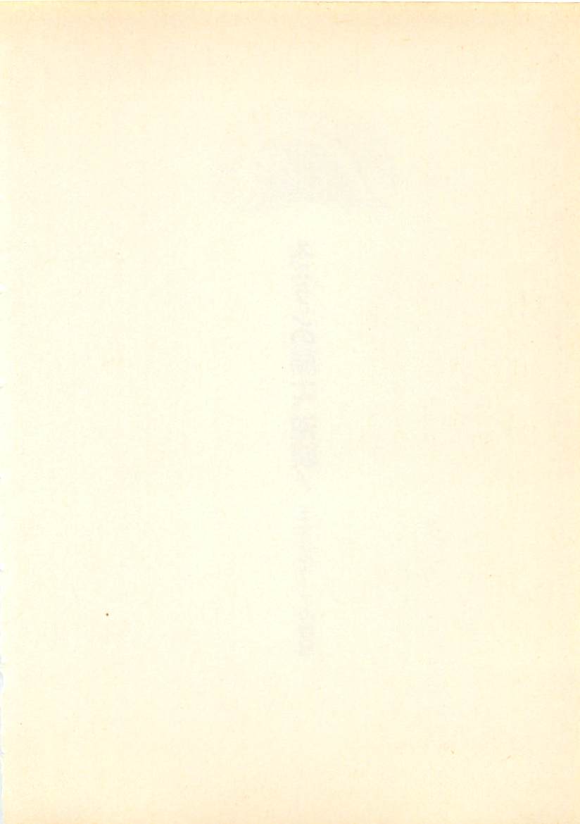 Suzuran no Kishi, Gyakushuu! Oujo Silvia no Taikan page 9 full