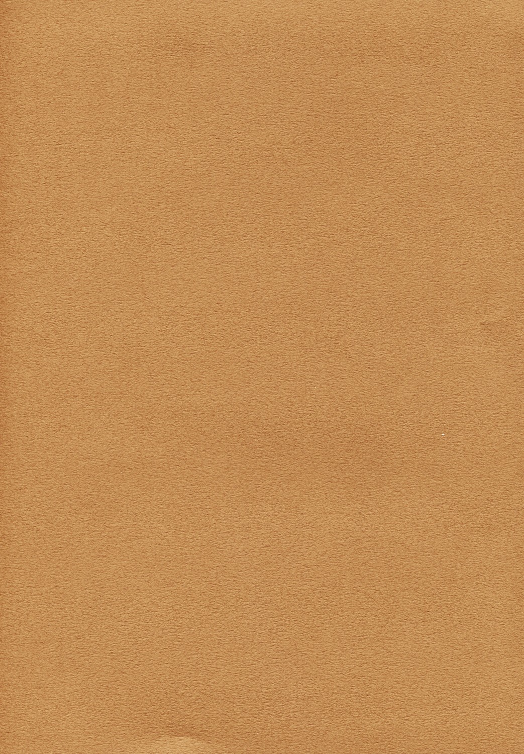 Caffe' latte page 2 full