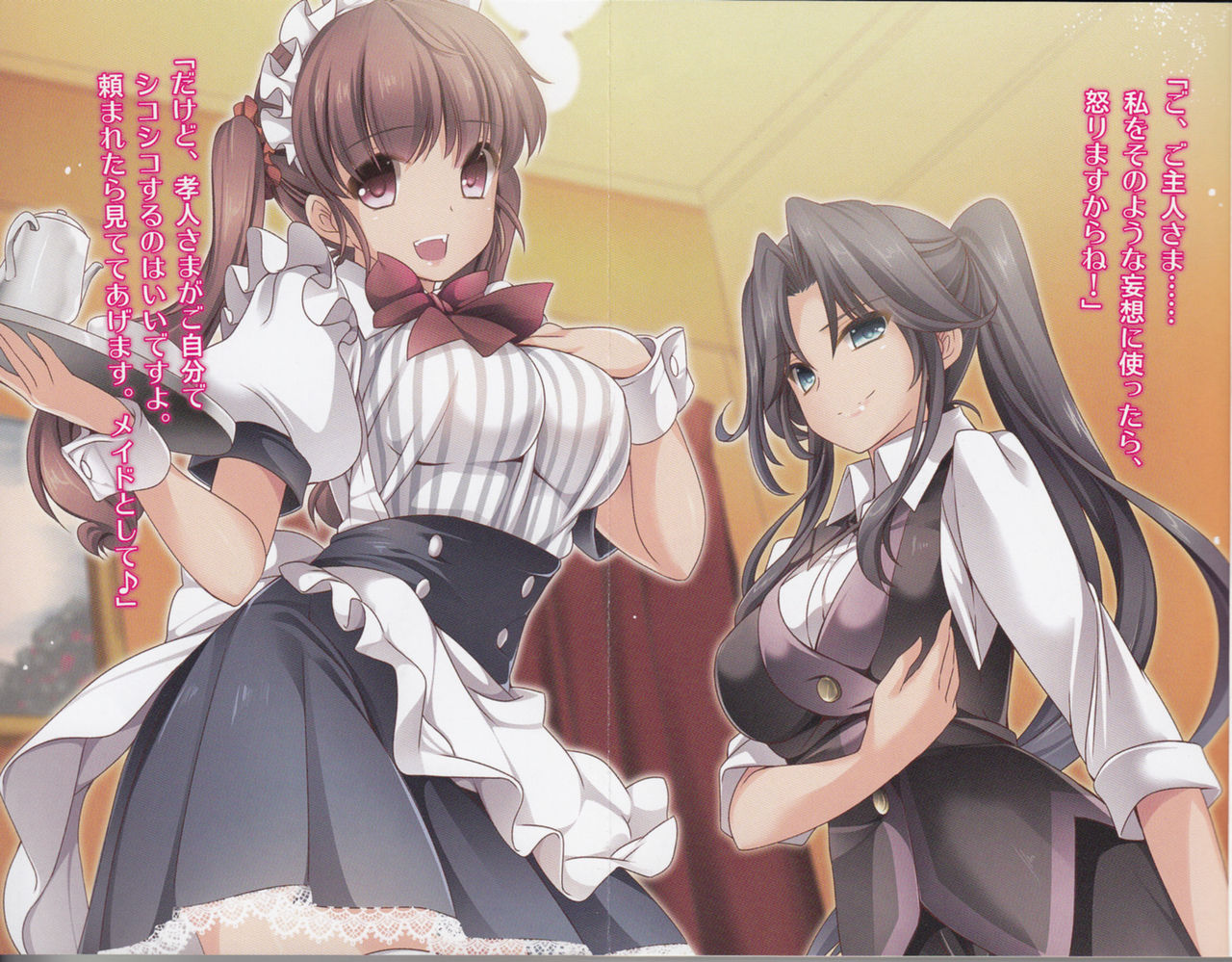 Maid to Onnashitsuji wo Shiiku Choukyou! page 2 full