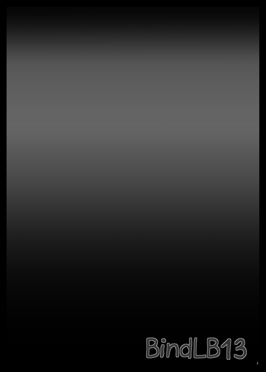 BindLB13 page 3 full