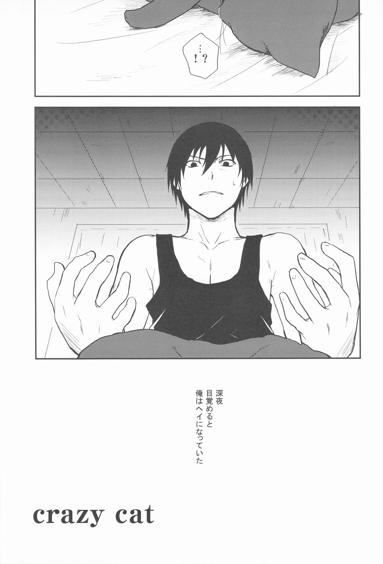 CrazyCat（mrmn） page 3 full