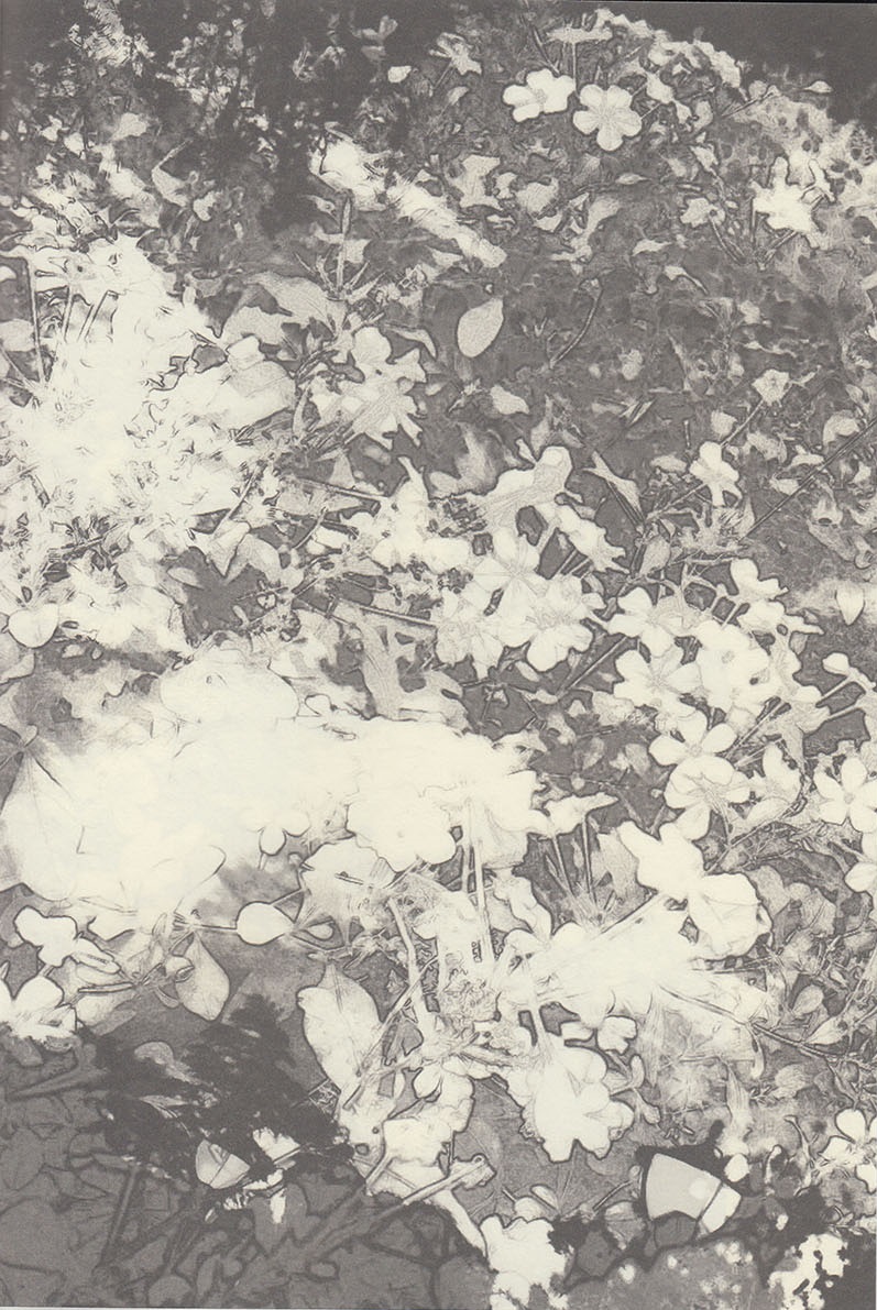 Mizu no Kokoro page 4 full