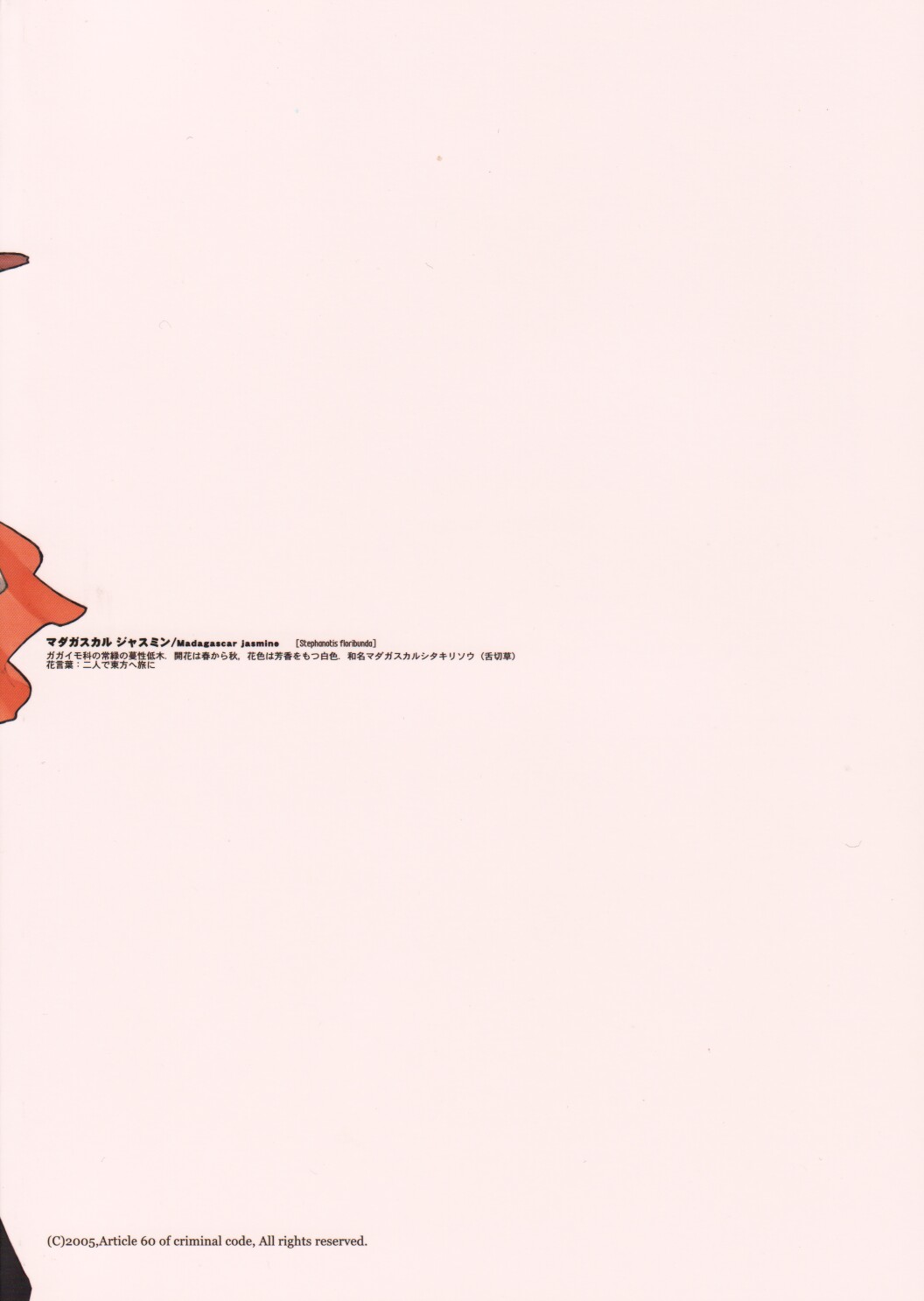 Madagascar jasmine. page 2 full