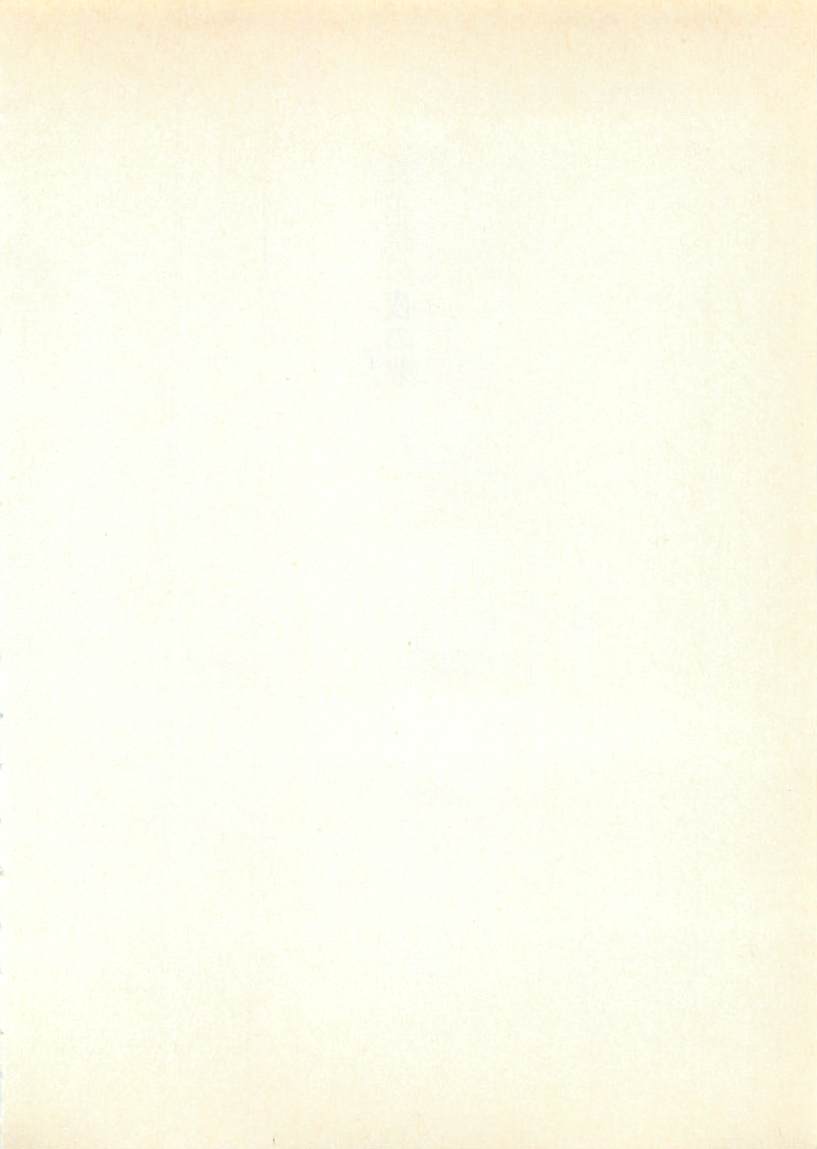 Dragon Buster Kiki Renpatsu 1 - Geshisai no Yo no Yume page 9 full