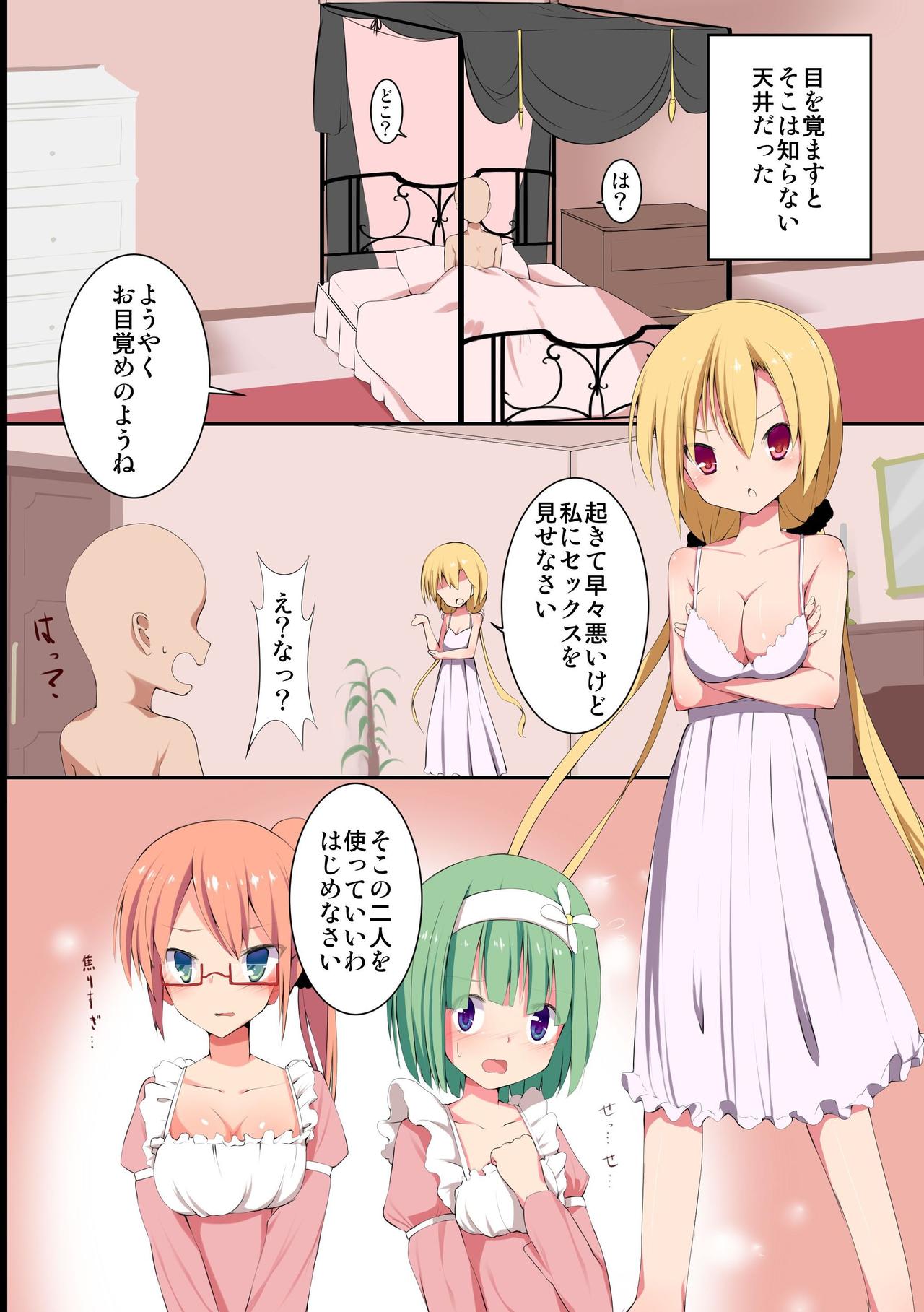 Ojousama-tachi no Shojo Soushitsu no Kiroku page 2 full