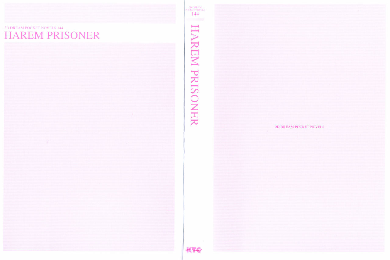 Harem Prisoner page 3 full