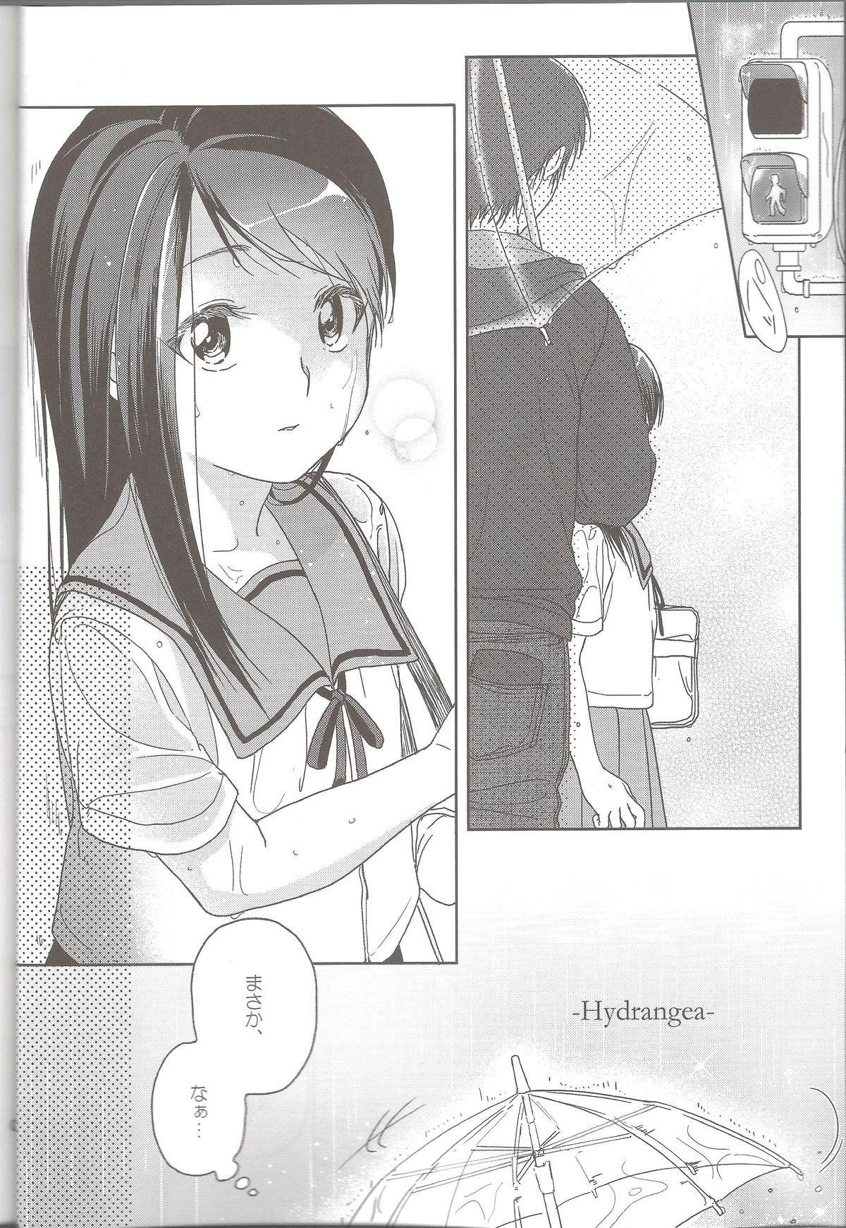 Hydrangea page 3 full