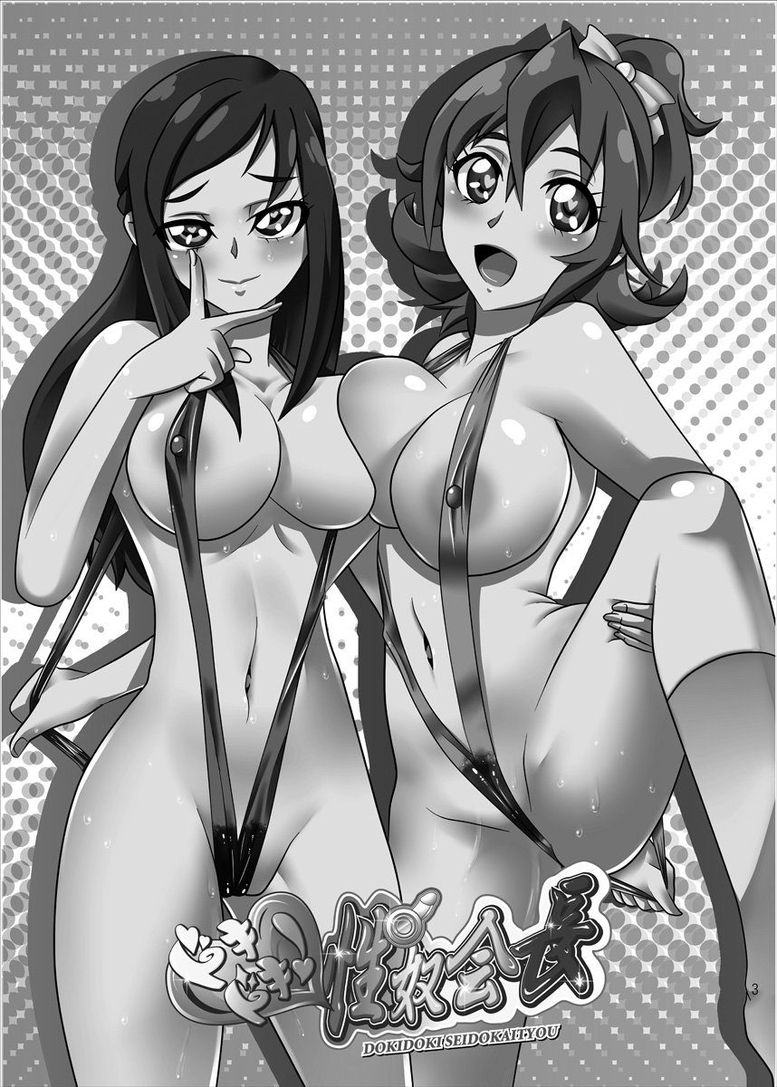 DokiDoki! Seido Kaichou page 2 full