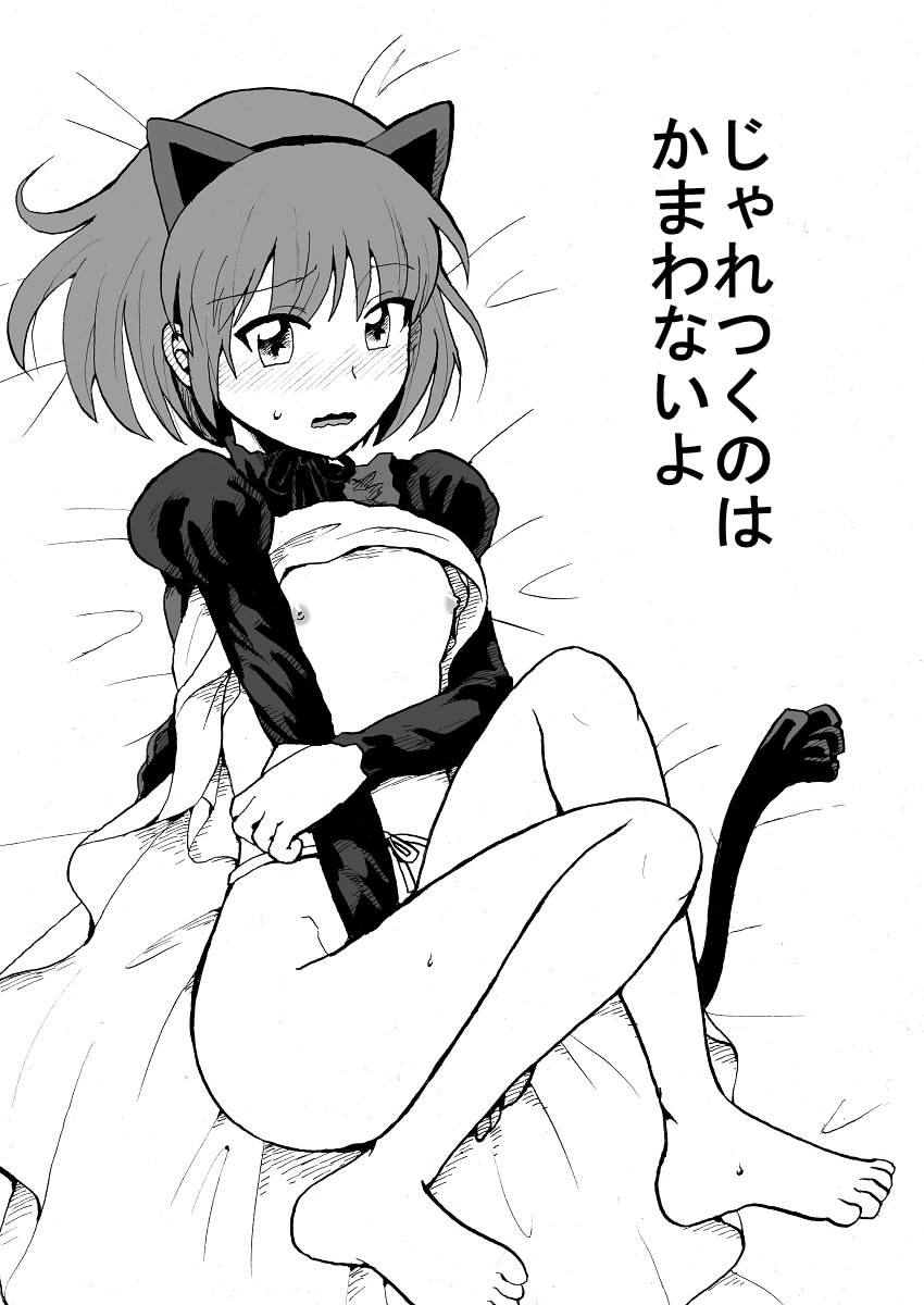 じゃれつくのはかまわないよ page 1 full