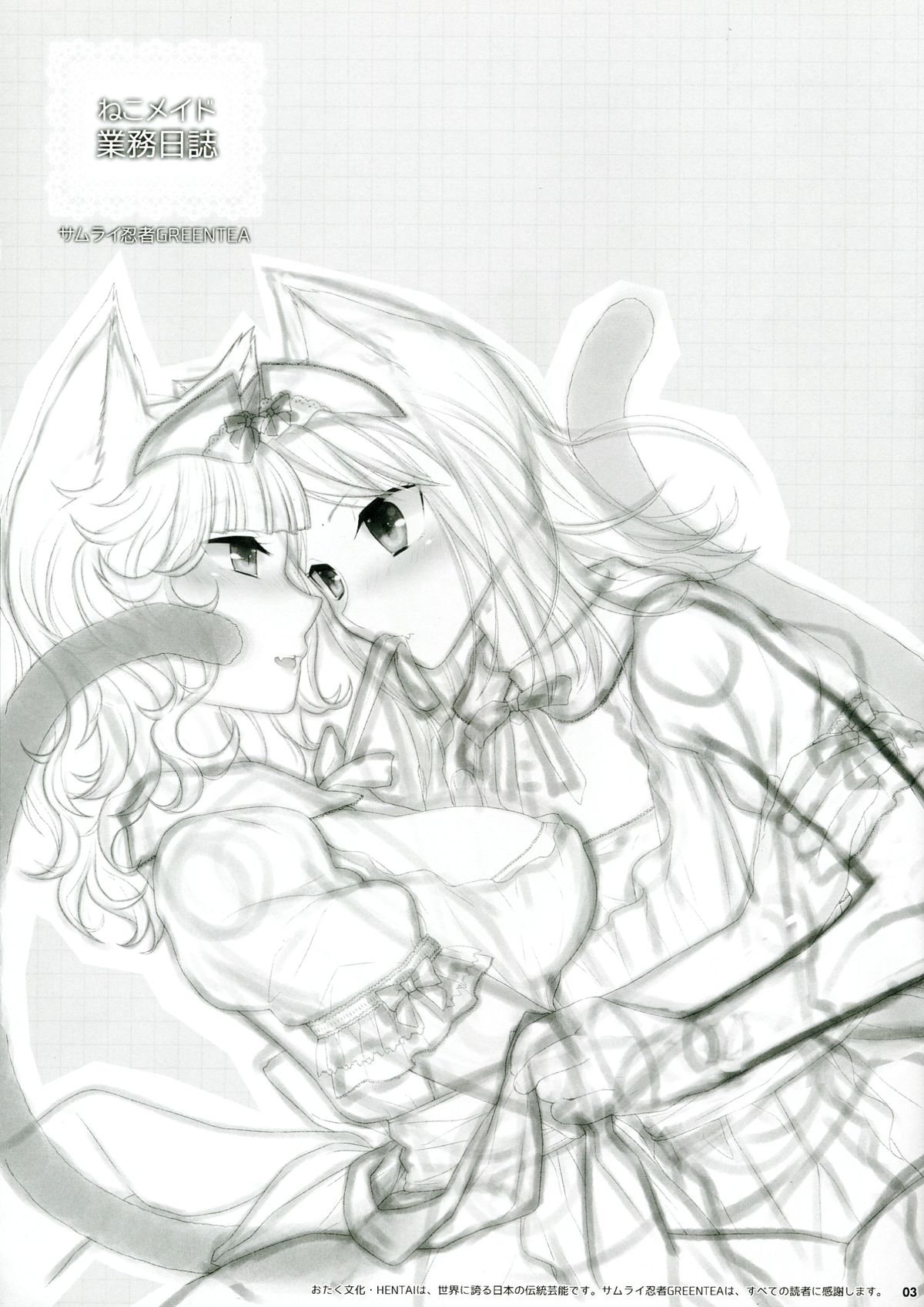 Neko Maid Gyoumu Nisshi page 3 full