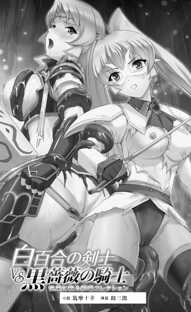 Shirayuri no Kenshi VS Kurobara no Kishi Etsuraku ni Chiru Danshou Collection page 10 full