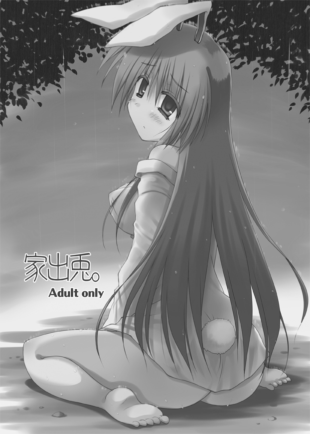 Iede Usagi. page 2 full