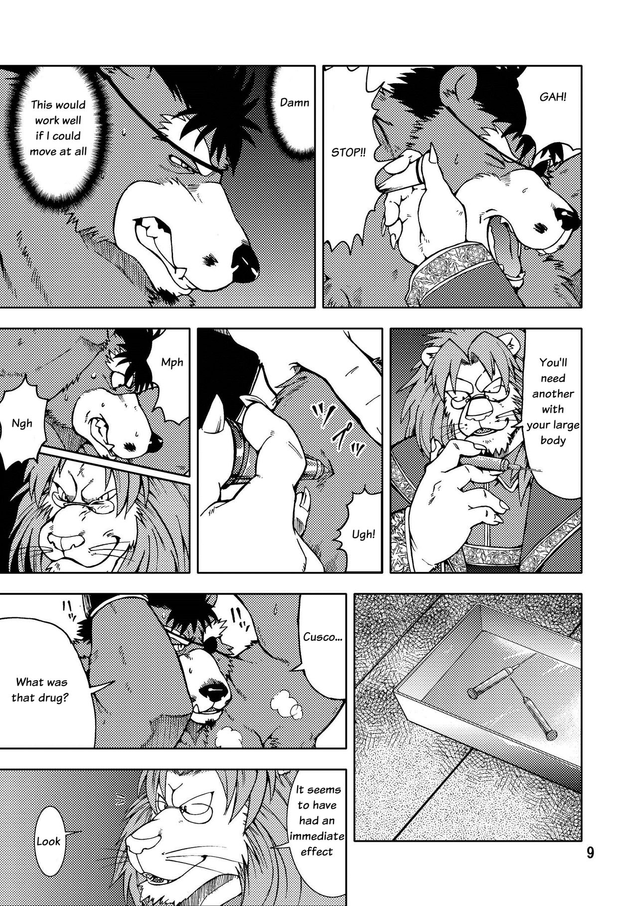 Shishi Shibori page 10 full