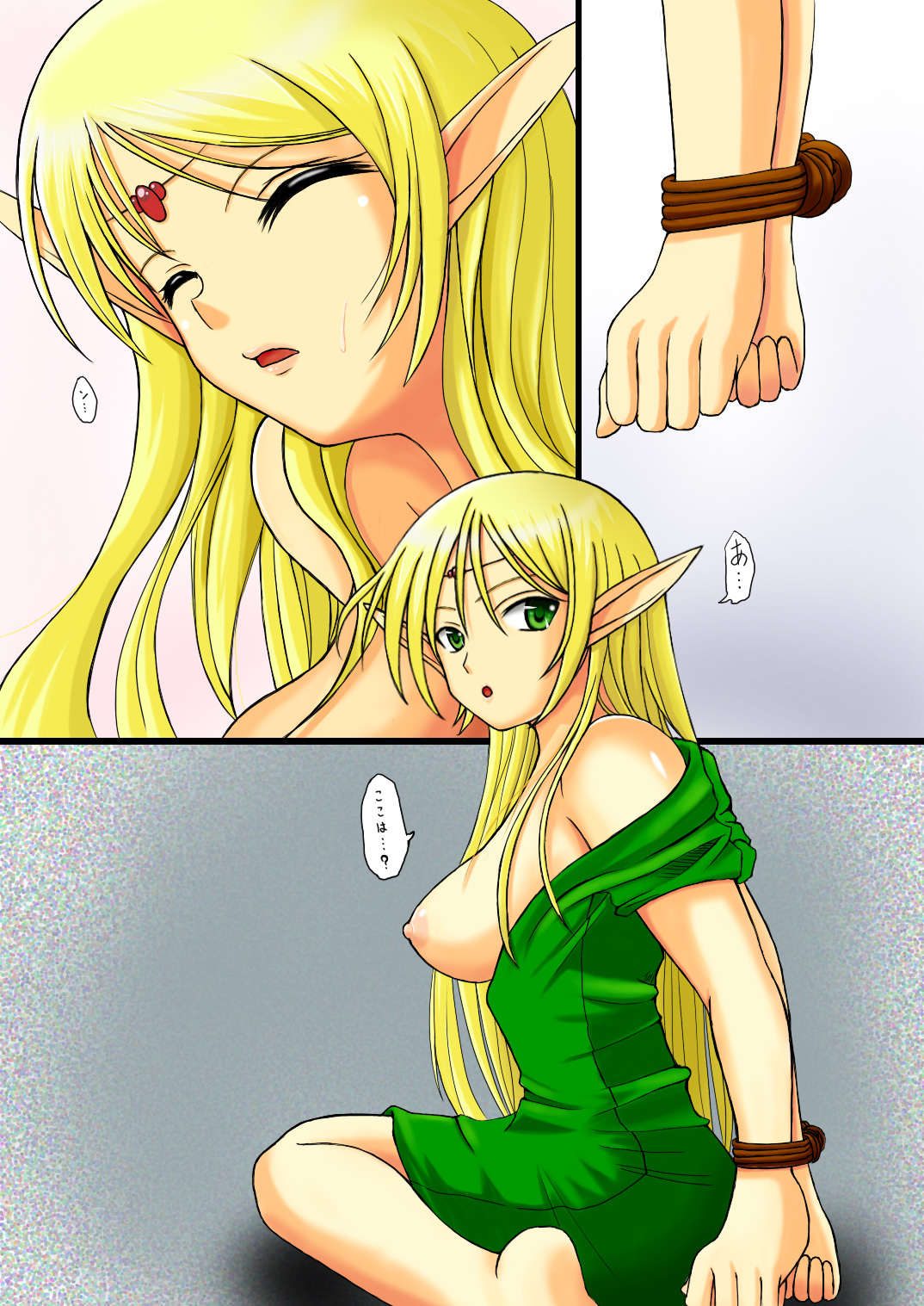 Record of Lodoss War ~Heroine Insult Collection~ page 1 full