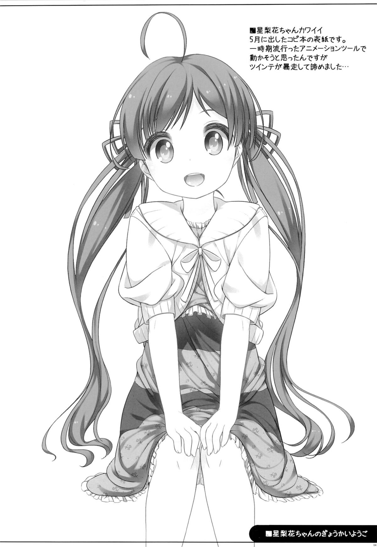 Serika-chan no Gyoukaiyougo page 3 full