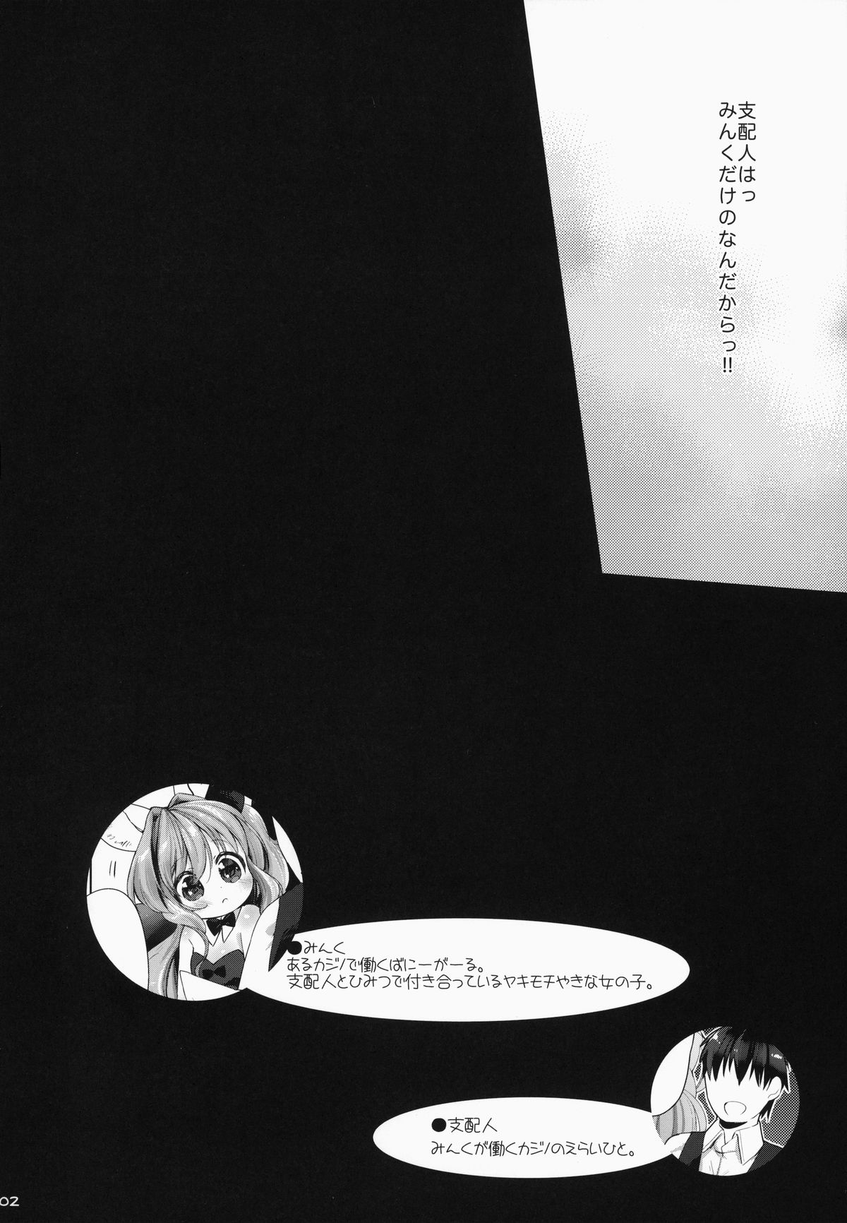 Usa work page 3 full