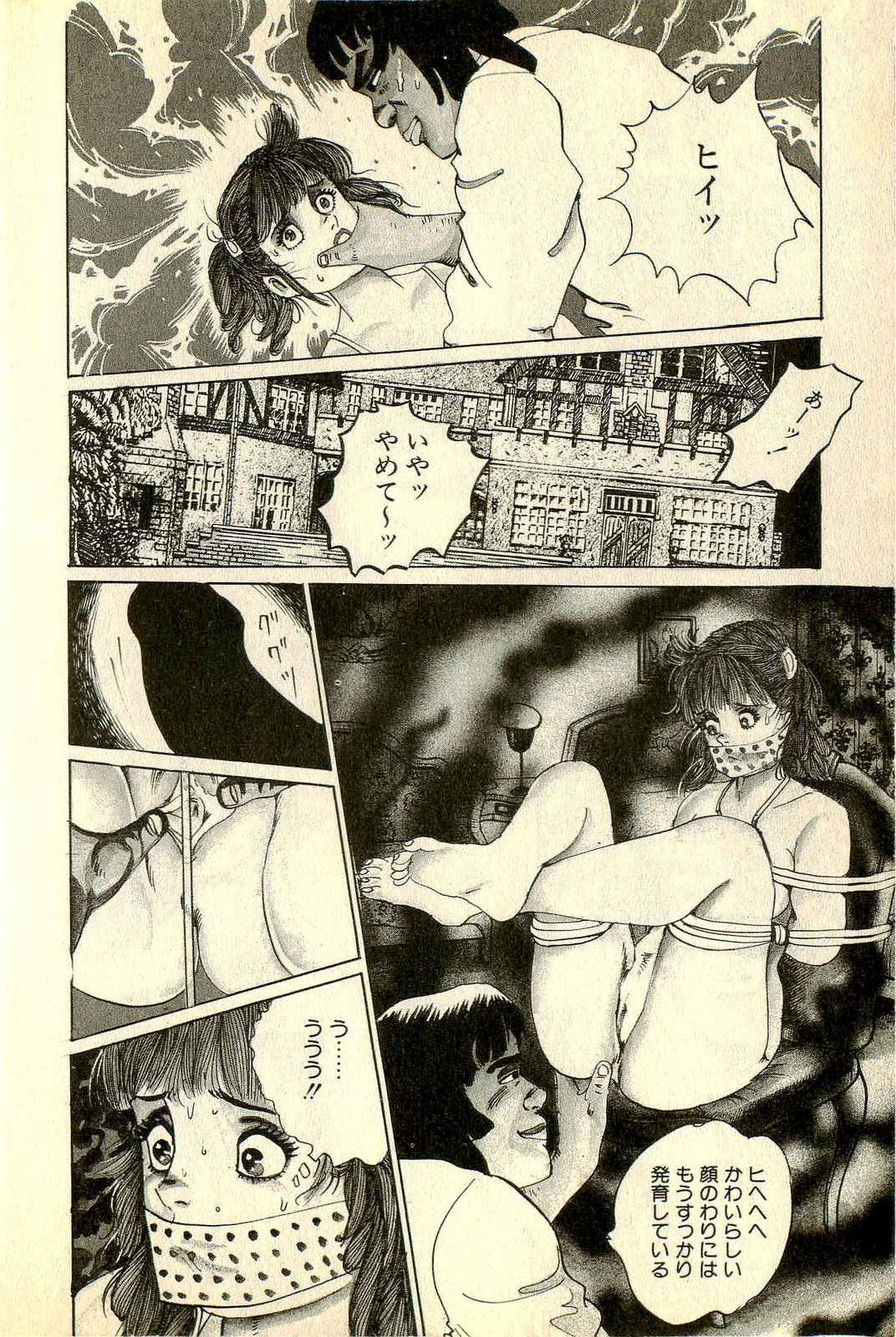 Neko Nyan Ninpouchou page 10 full