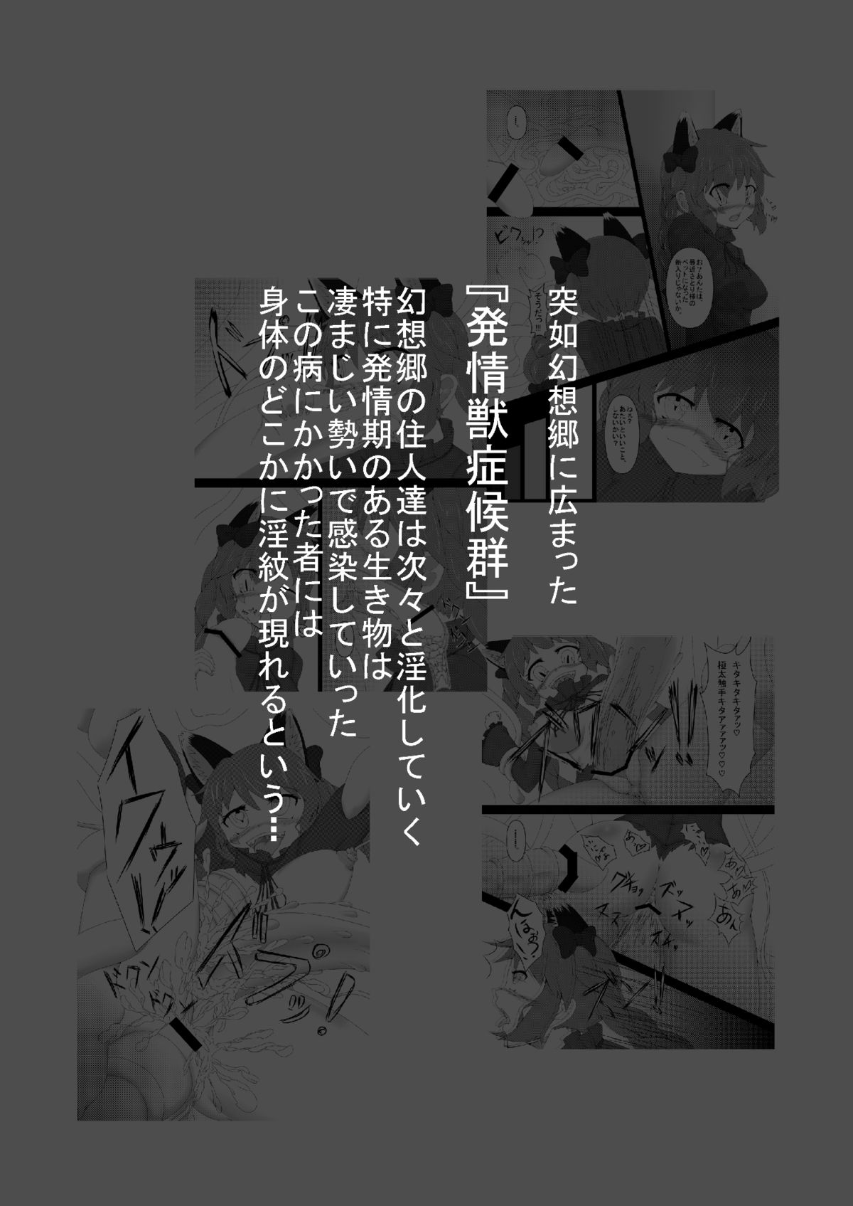 Touhou Hatsujou Juushou ~Ni - Bakedanuki x Kyuubi Hen~ page 2 full