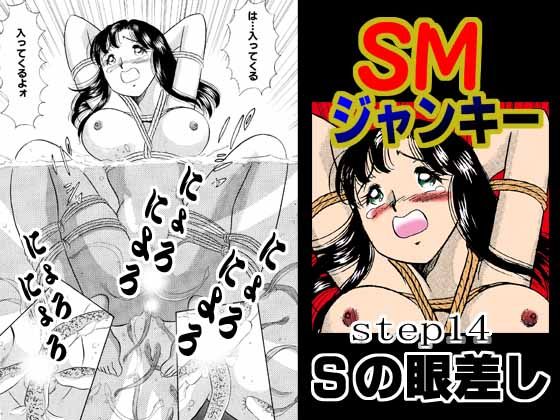 S&M Junkie 14 - The Gaze of Sadism page 1 full