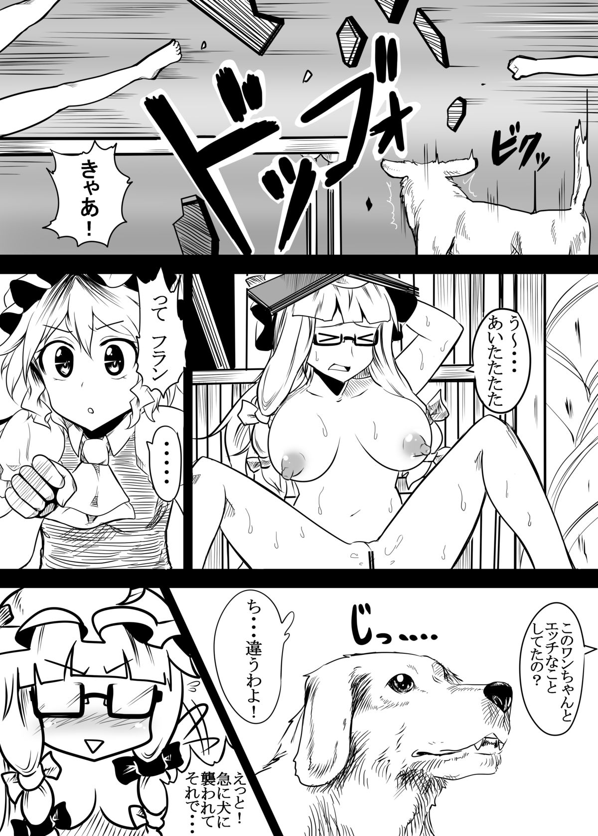 Flan to Patchouli ga Doubutsu-tachi to Tanoshiku Koubi suru Juukan Hon page 7 full