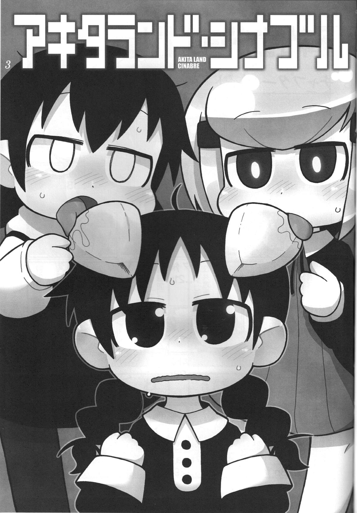 AKITA LAND CINABRE page 2 full