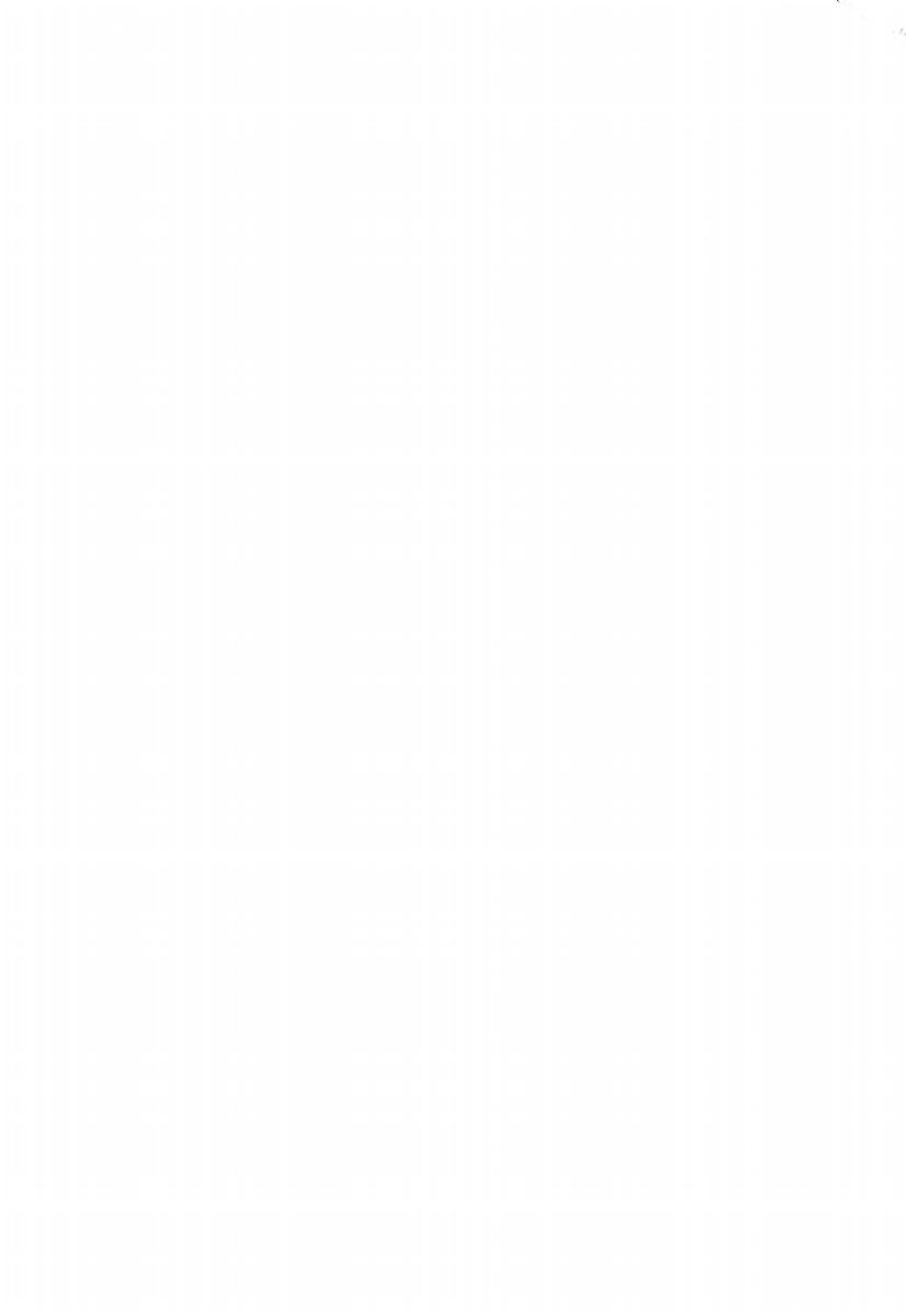 Makai no Tsubasa Magical Princess page 9 full