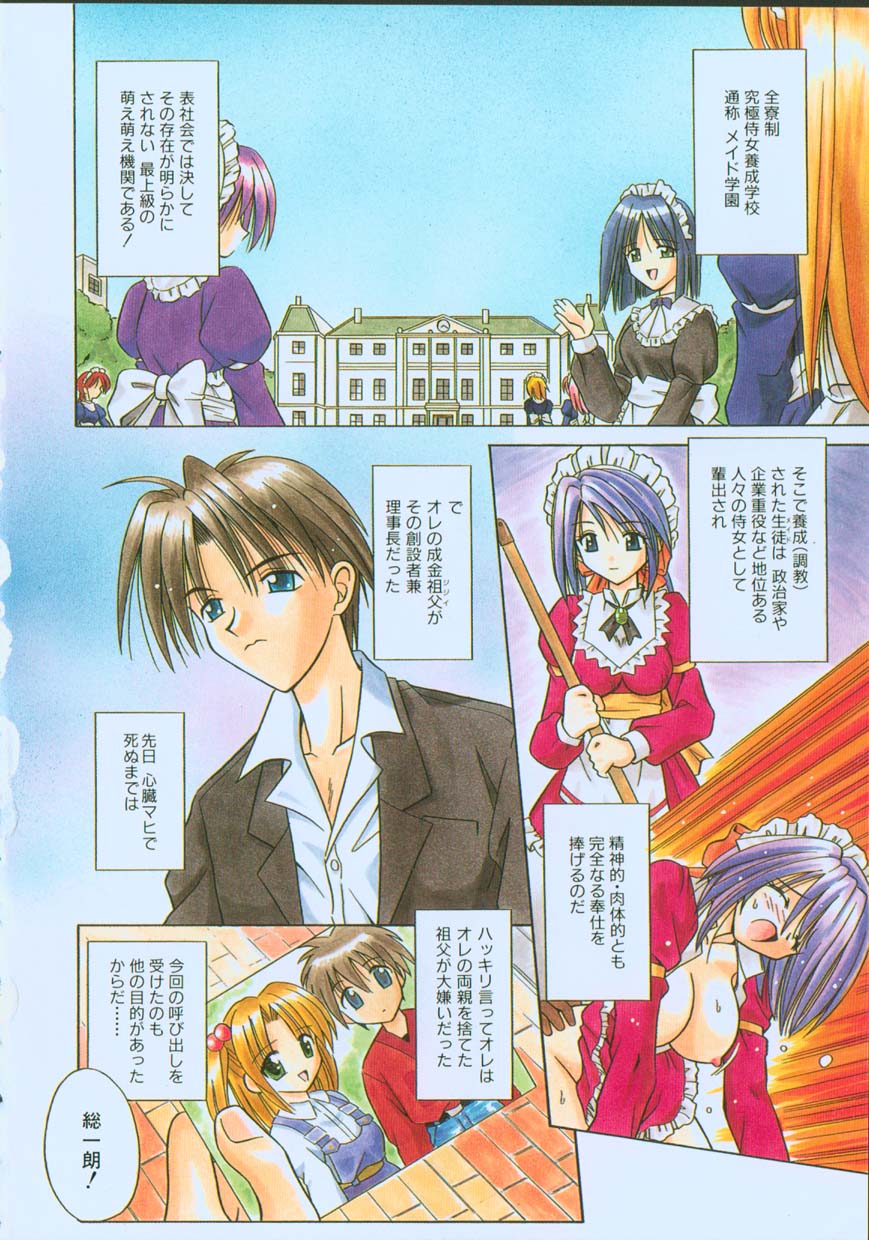 Palladium Garden page 9 full