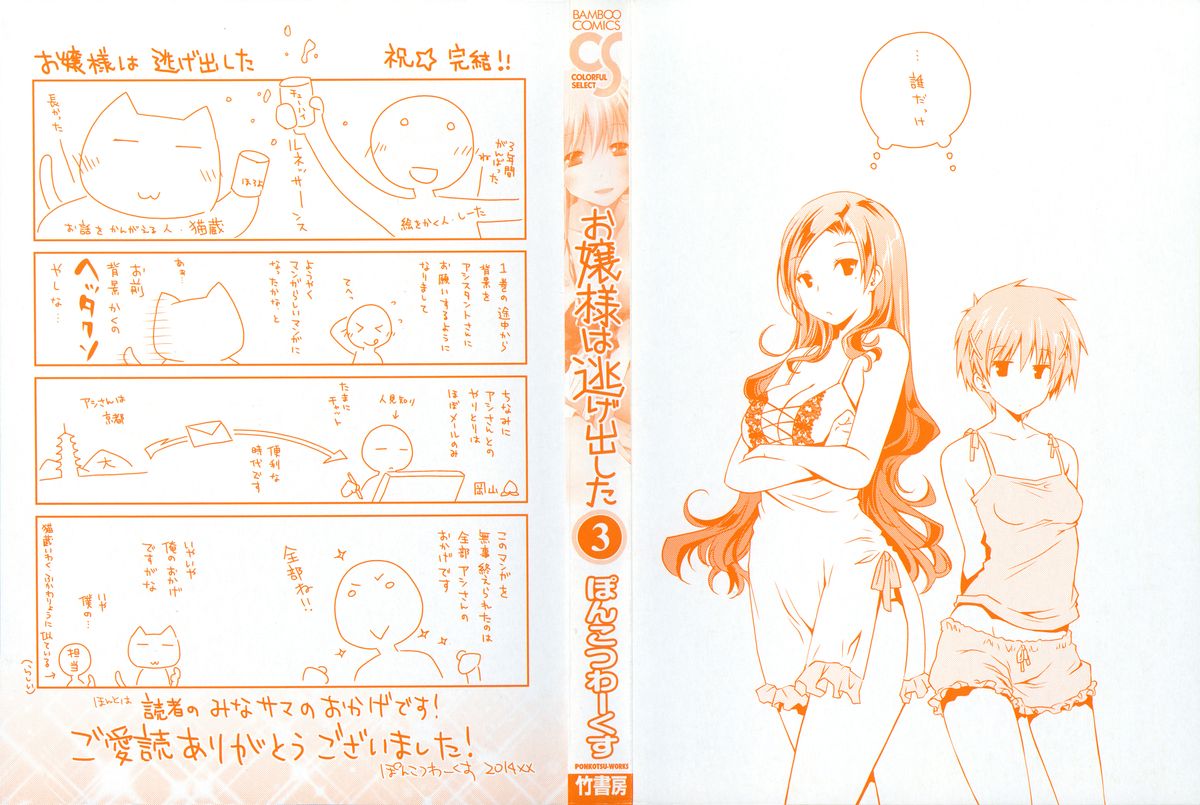 Ojousama wa Nigedashita 3 page 3 full