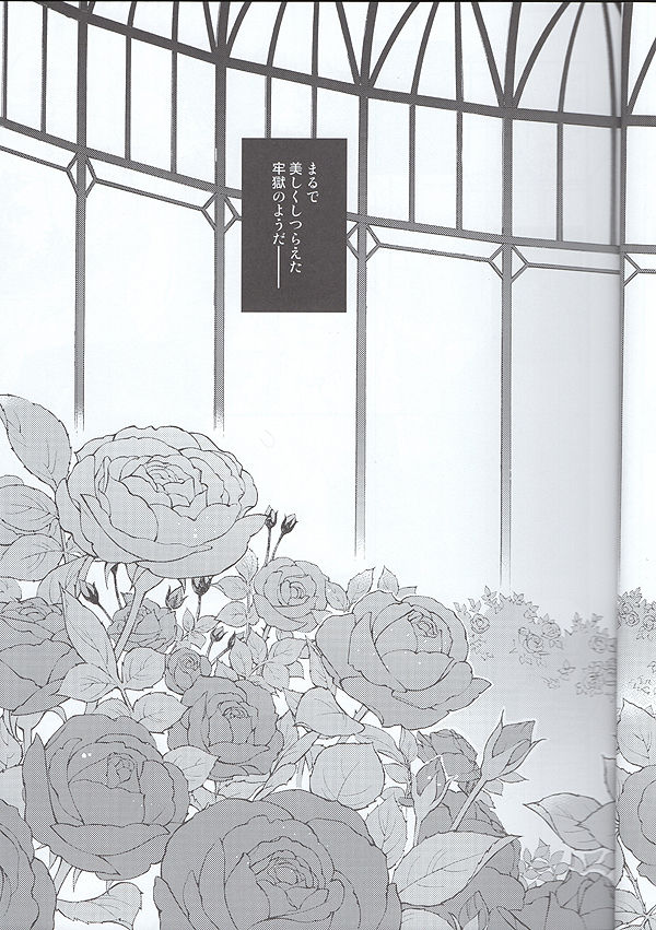 The Secret Garden page 8 full