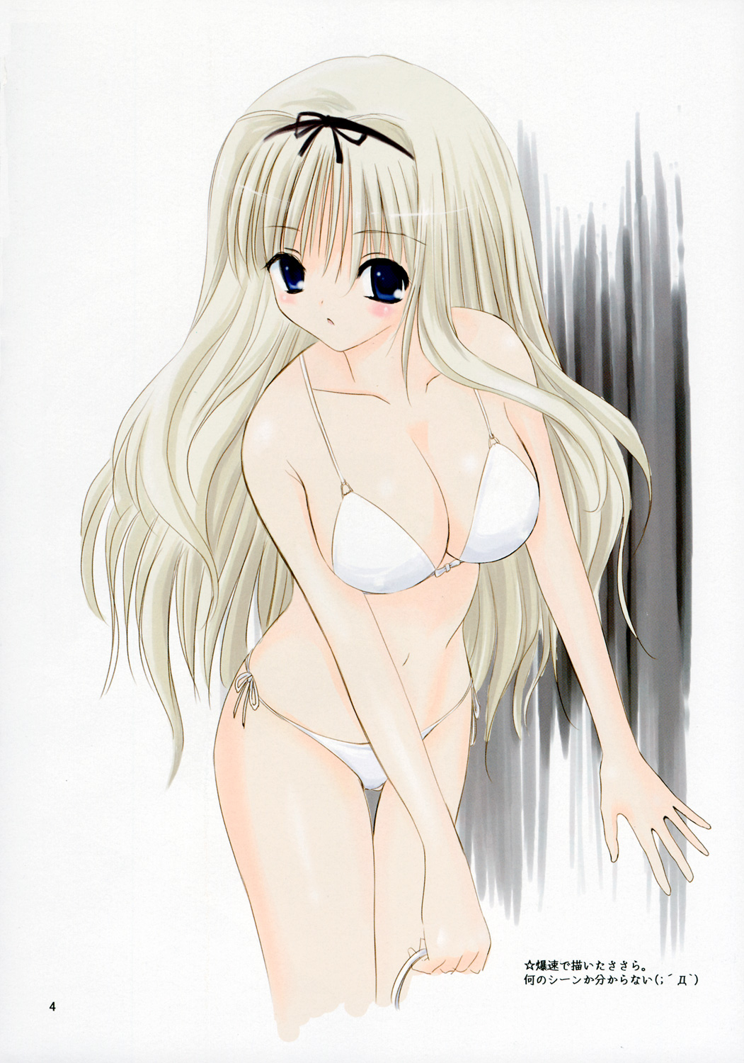 Poulailler 001 page 3 full