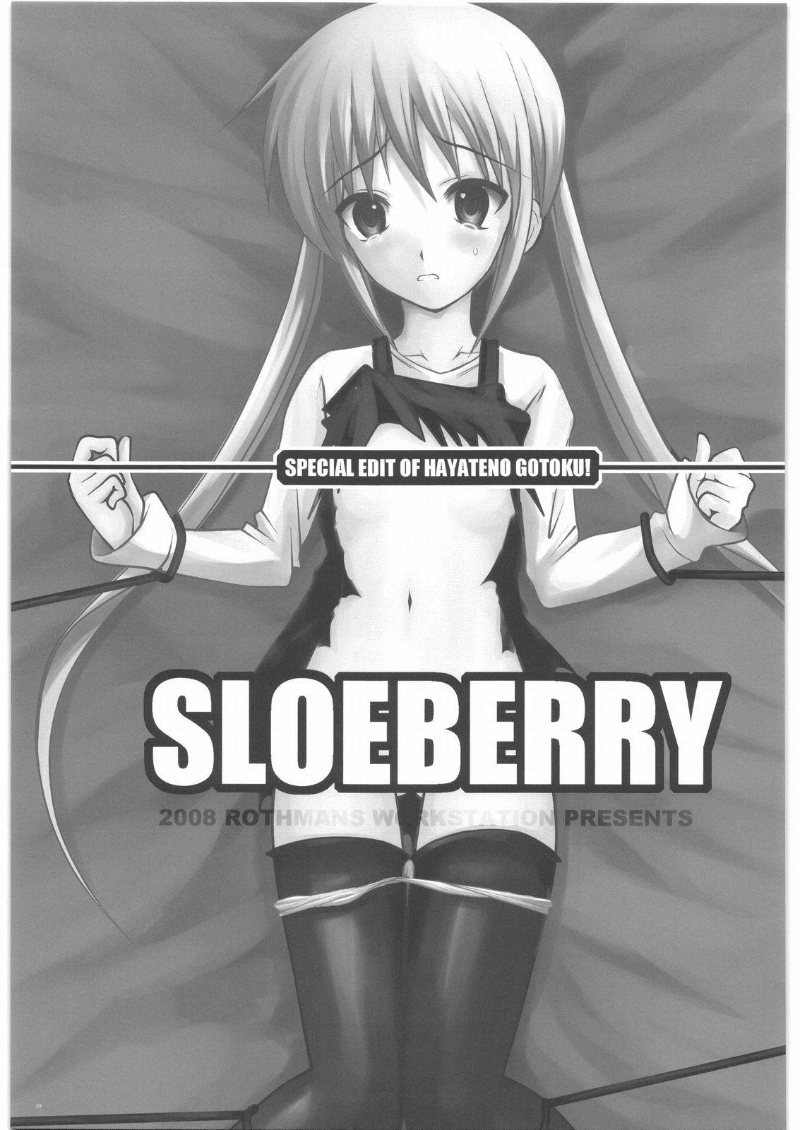 SLOEBERRY page 2 full