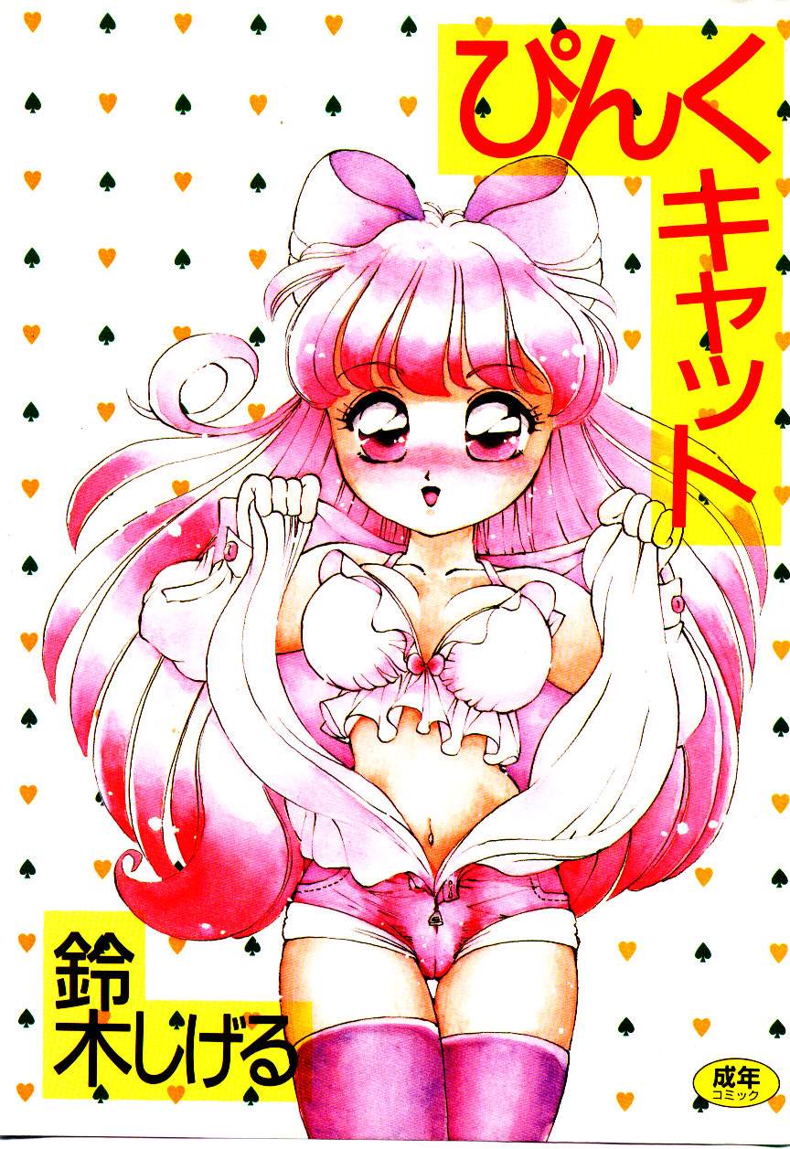 Pink Cat page 1 full