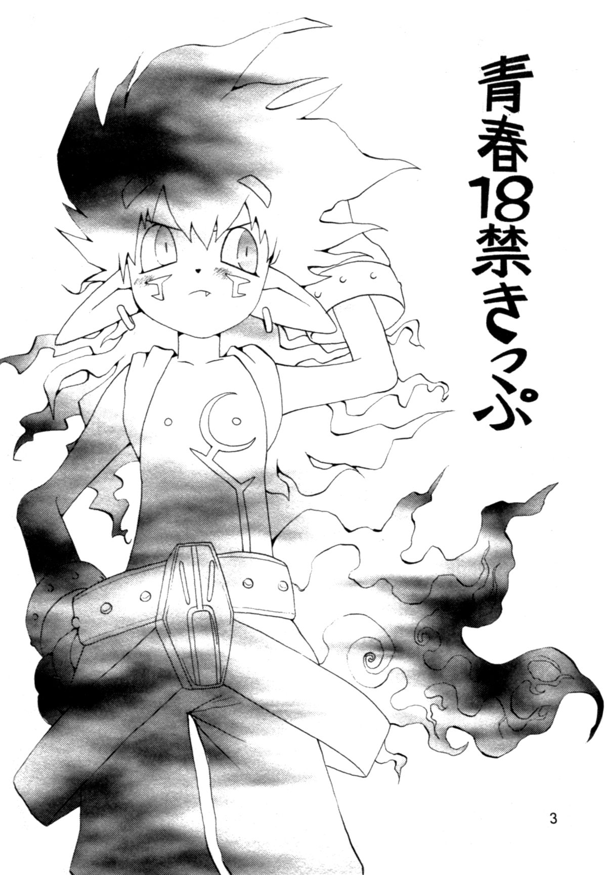 Seishun 18 Kin Kippu page 2 full