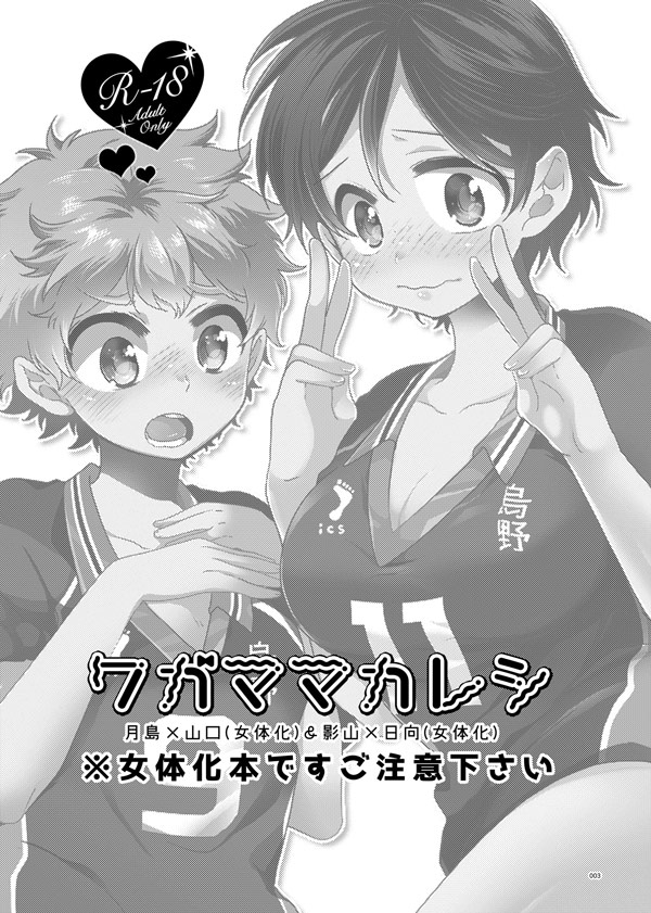 Wagamama Kareshi page 2 full