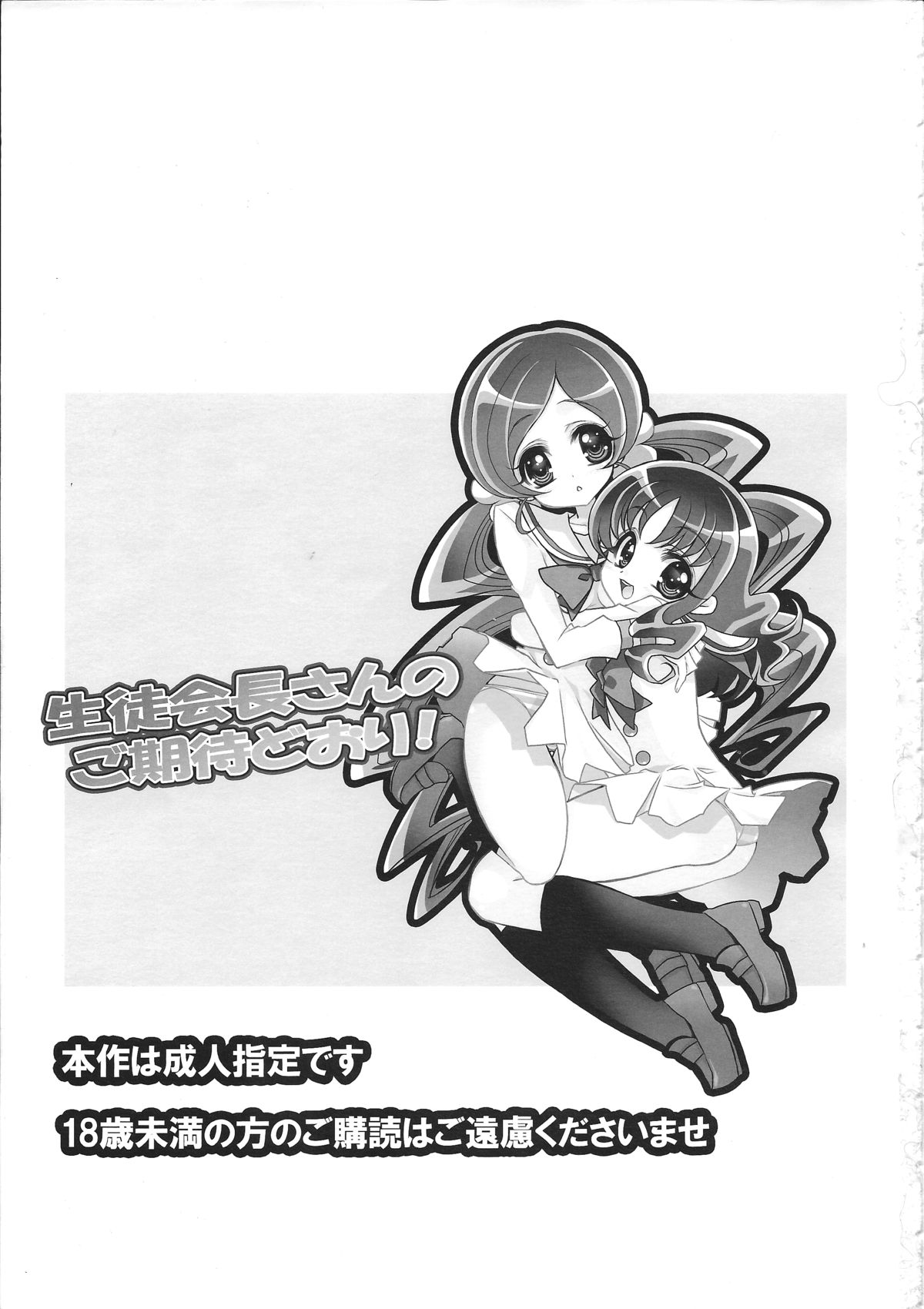 Seitokaichou-san no Gokitai doori! page 2 full