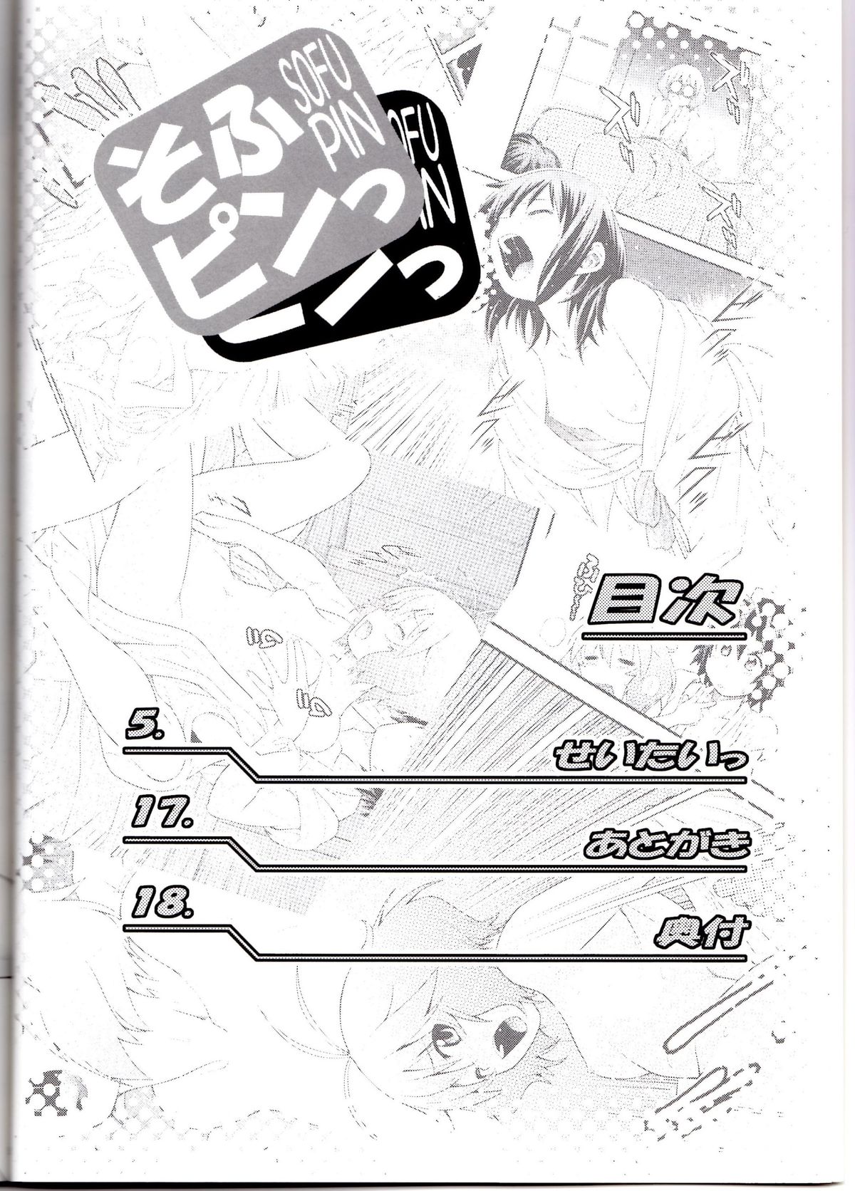 Sofu Pin page 3 full