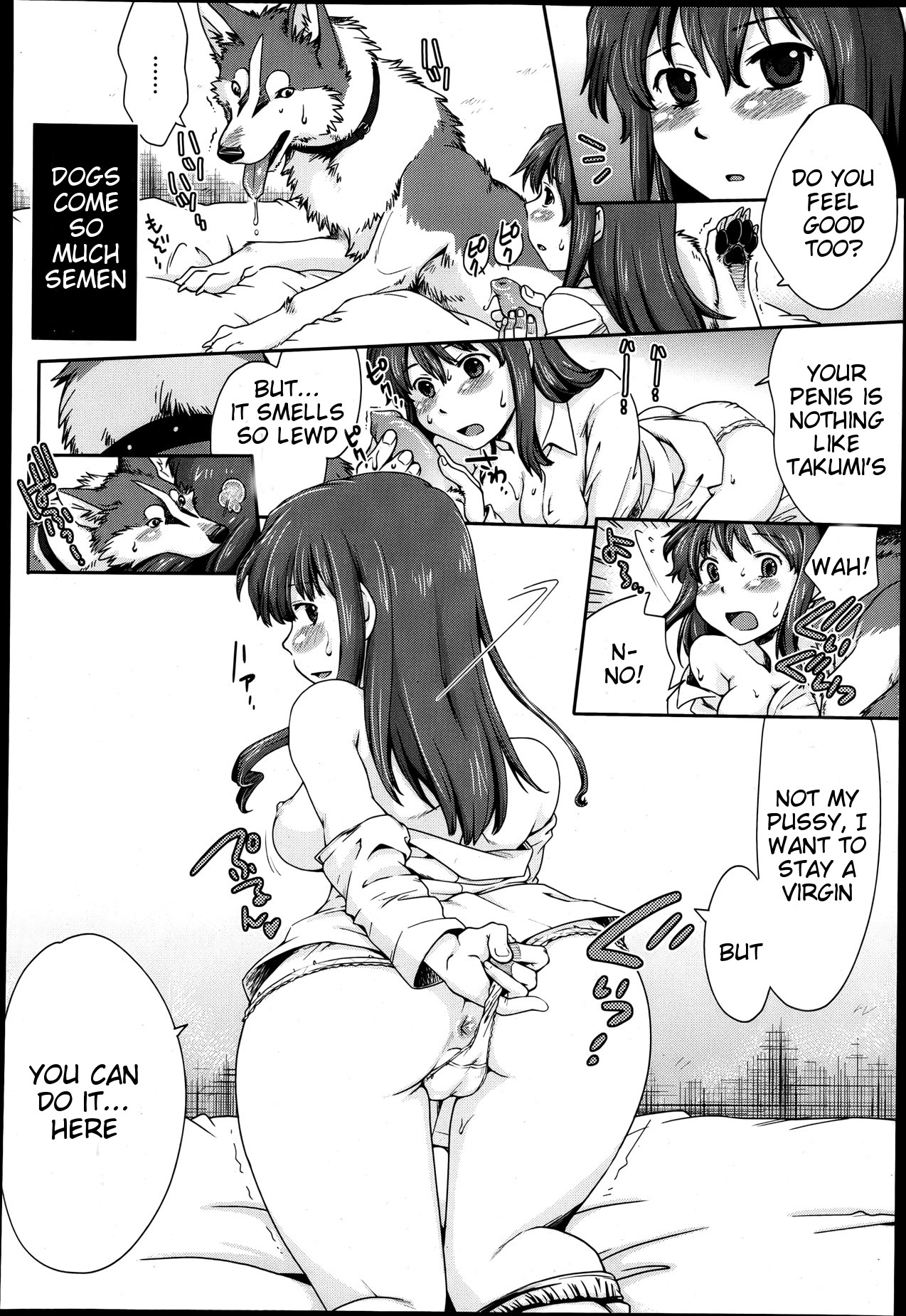 Hentai Kyoudai to Inu | Pervert Siblings and Their Dog page 6 full