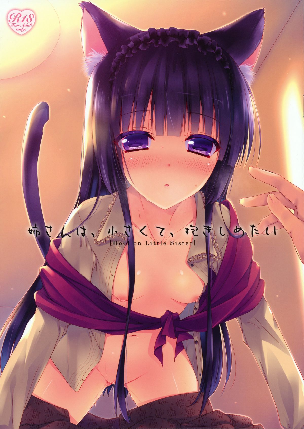 Nee-san wa, Chiisaku te, Dakisimetai page 1 full