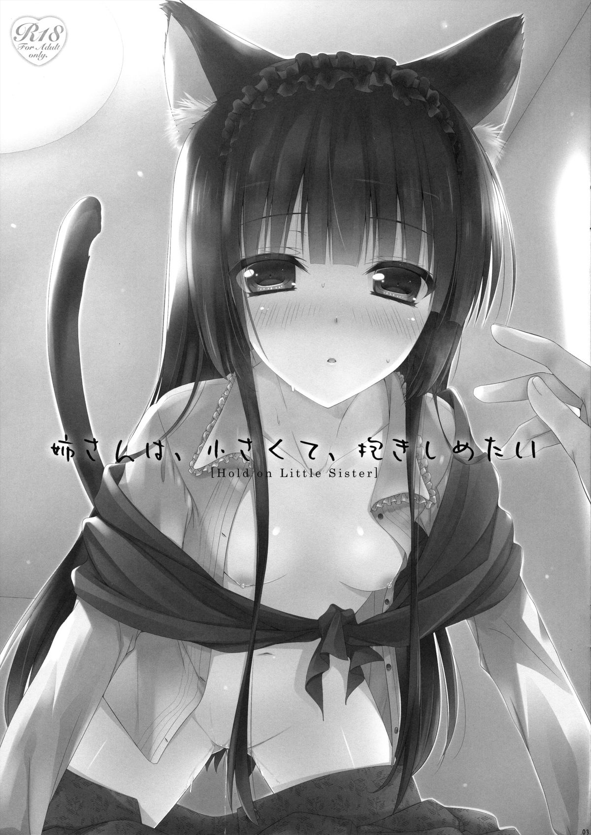 Nee-san wa, Chiisaku te, Dakisimetai page 2 full