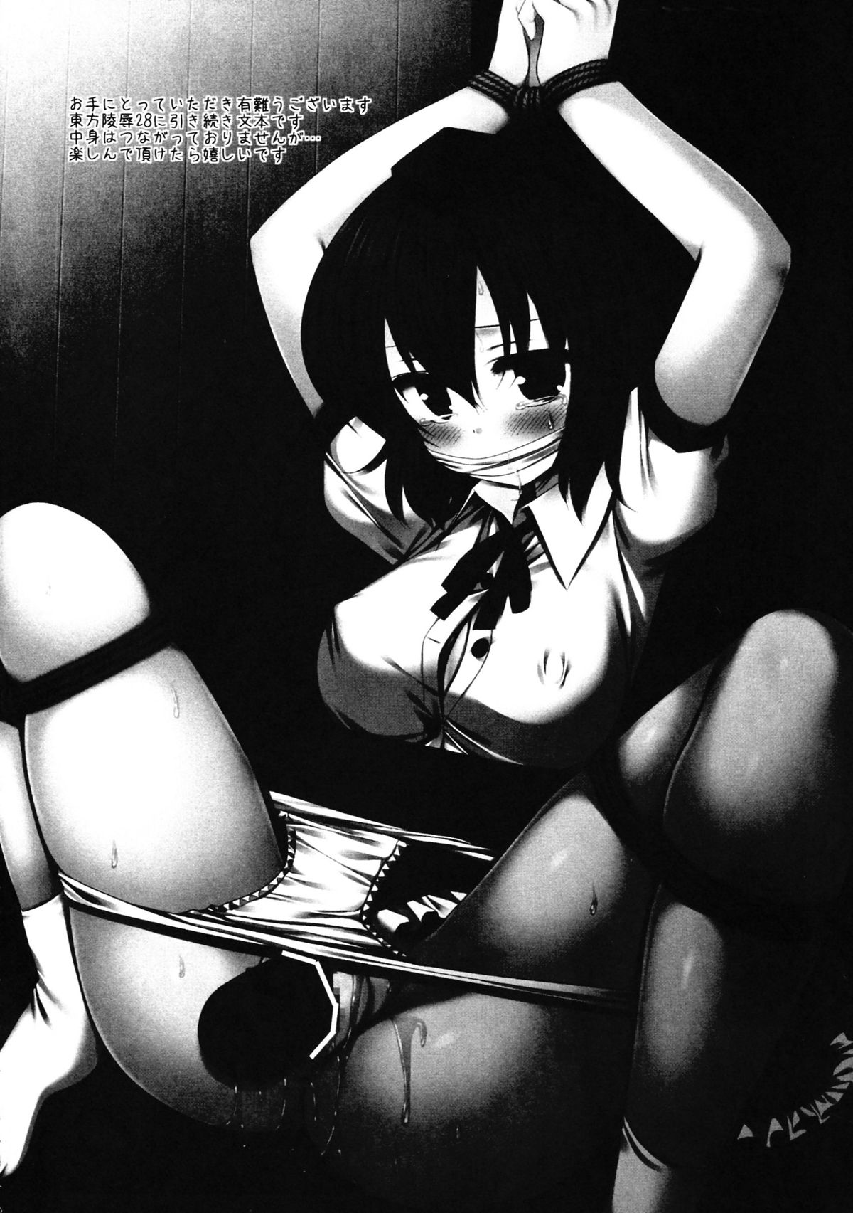 Touhou Ryoujoku 29 Decchiage Kiji de Urami wo kai Kankin sareta Aya page 4 full