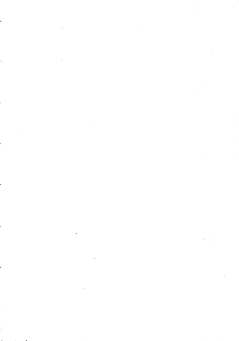 Lightning Saga - Onna Madoushi no Tou page 5 full