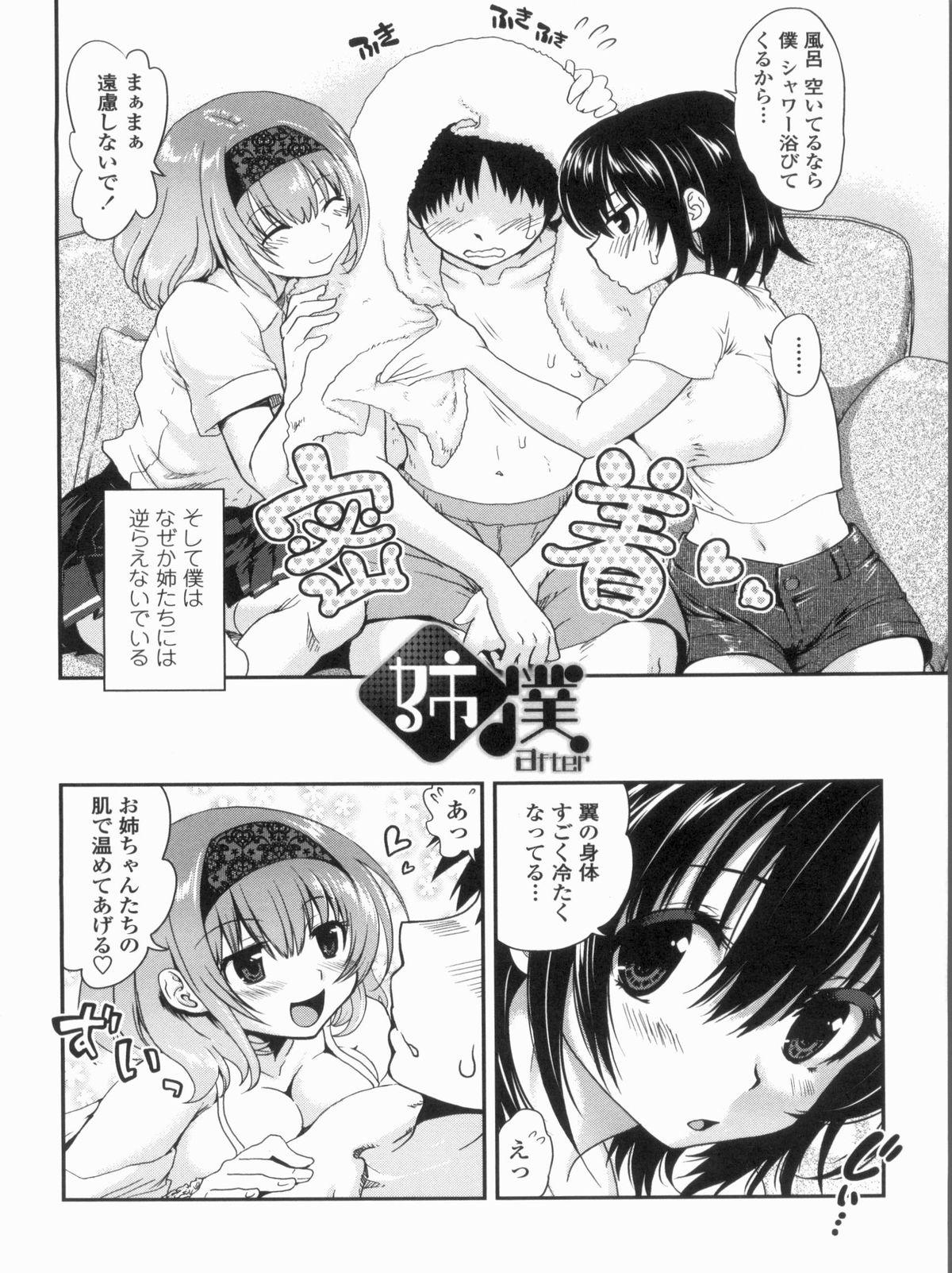 Kyoudai Chuudoku ~Sister Holic~ page 10 full