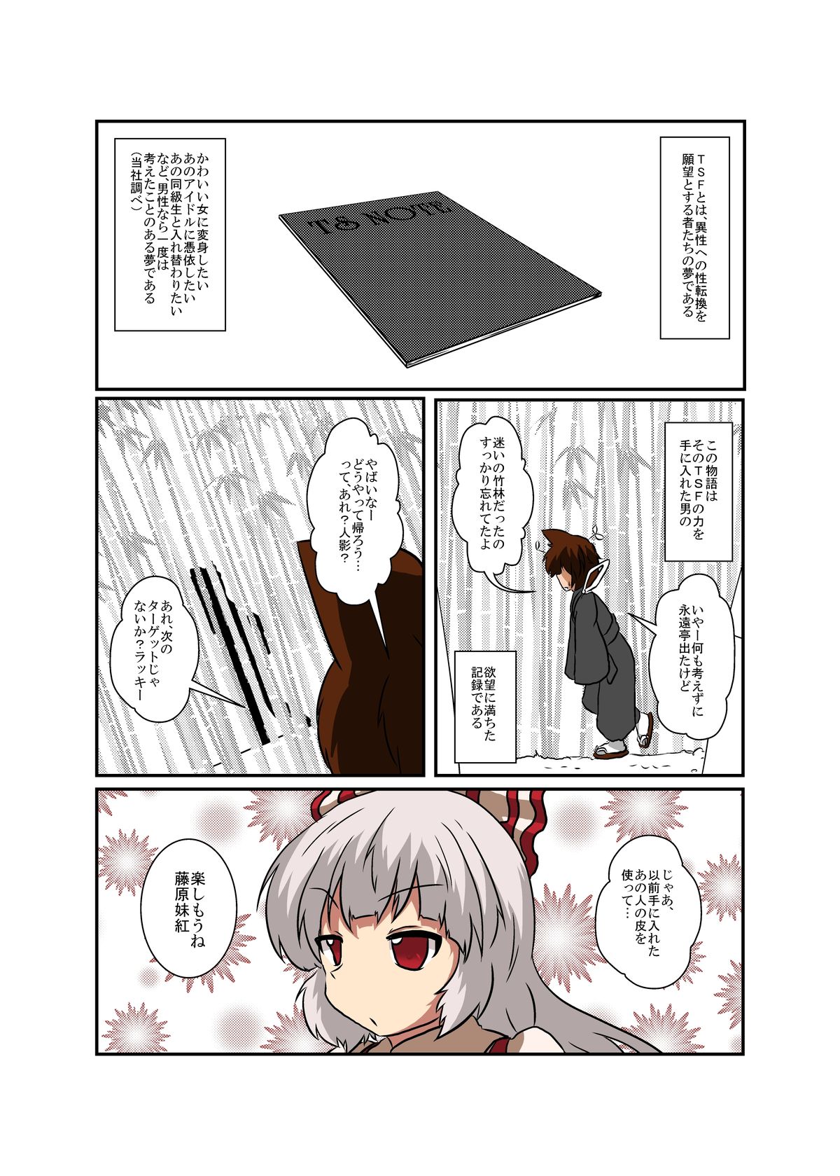 Touhou TS monogatari  ~ mokou-hen ~ page 4 full